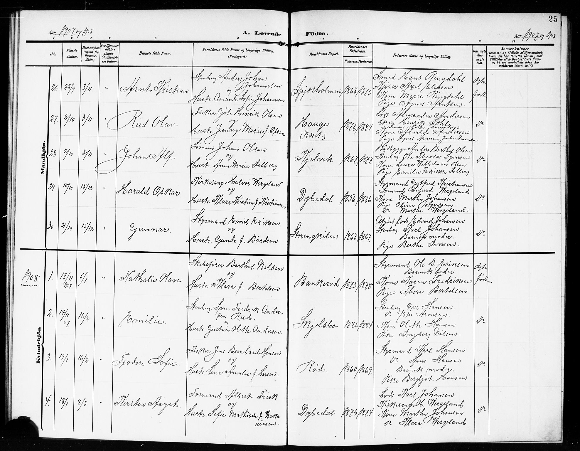 Hvaler prestekontor Kirkebøker, AV/SAO-A-2001/G/Gb/L0003: Parish register (copy) no. II 3, 1904-1917, p. 25