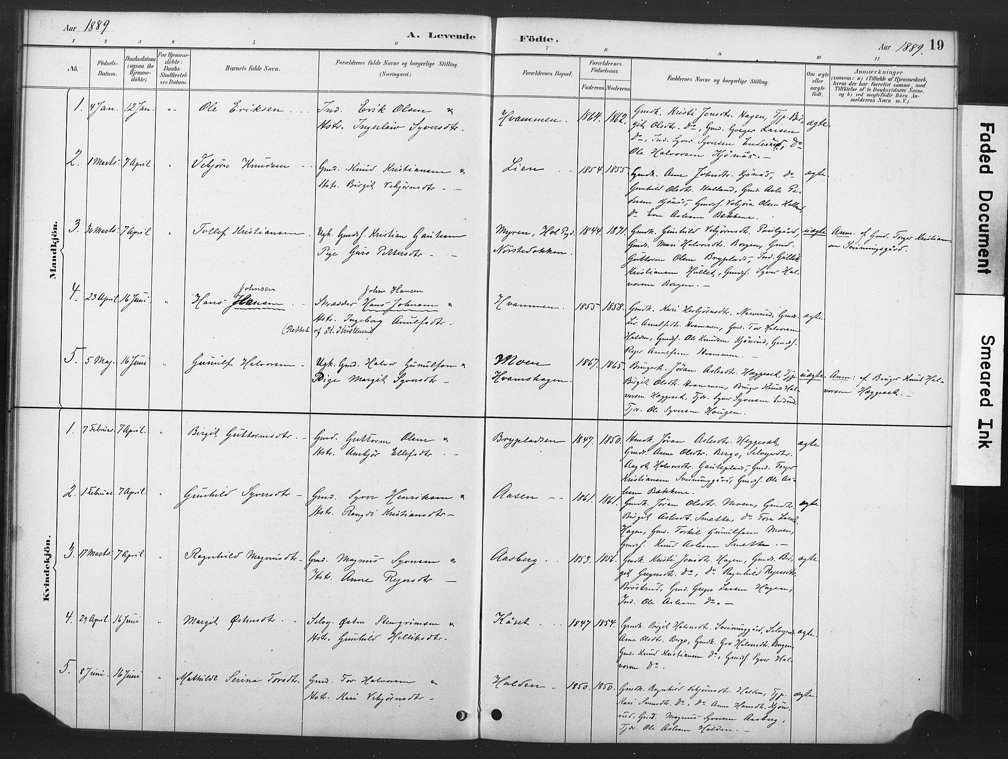 Nore kirkebøker, SAKO/A-238/F/Fd/L0001: Parish register (official) no. IV 1, 1878-1918, p. 19