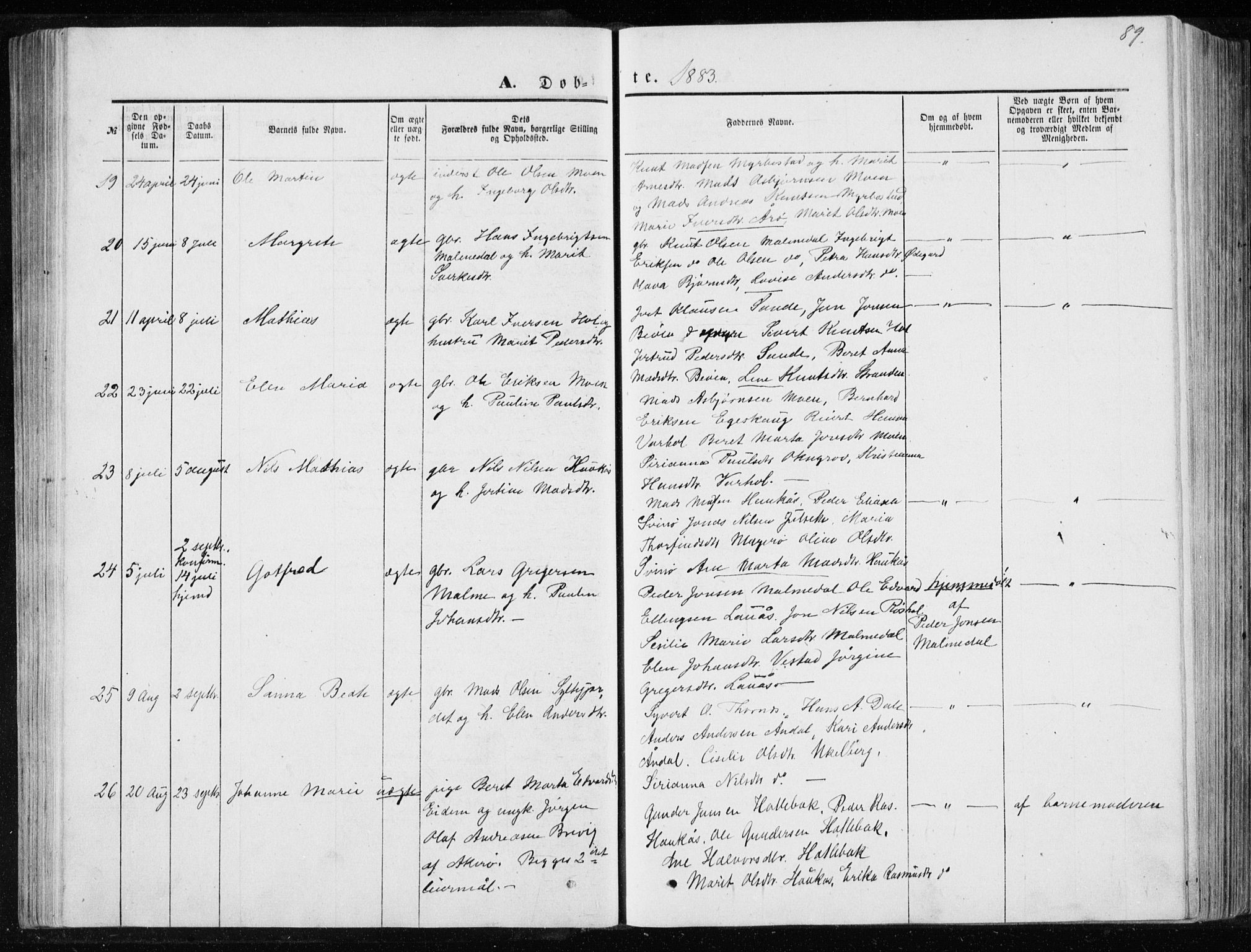 Ministerialprotokoller, klokkerbøker og fødselsregistre - Møre og Romsdal, AV/SAT-A-1454/565/L0754: Parish register (copy) no. 565C03, 1870-1896, p. 89