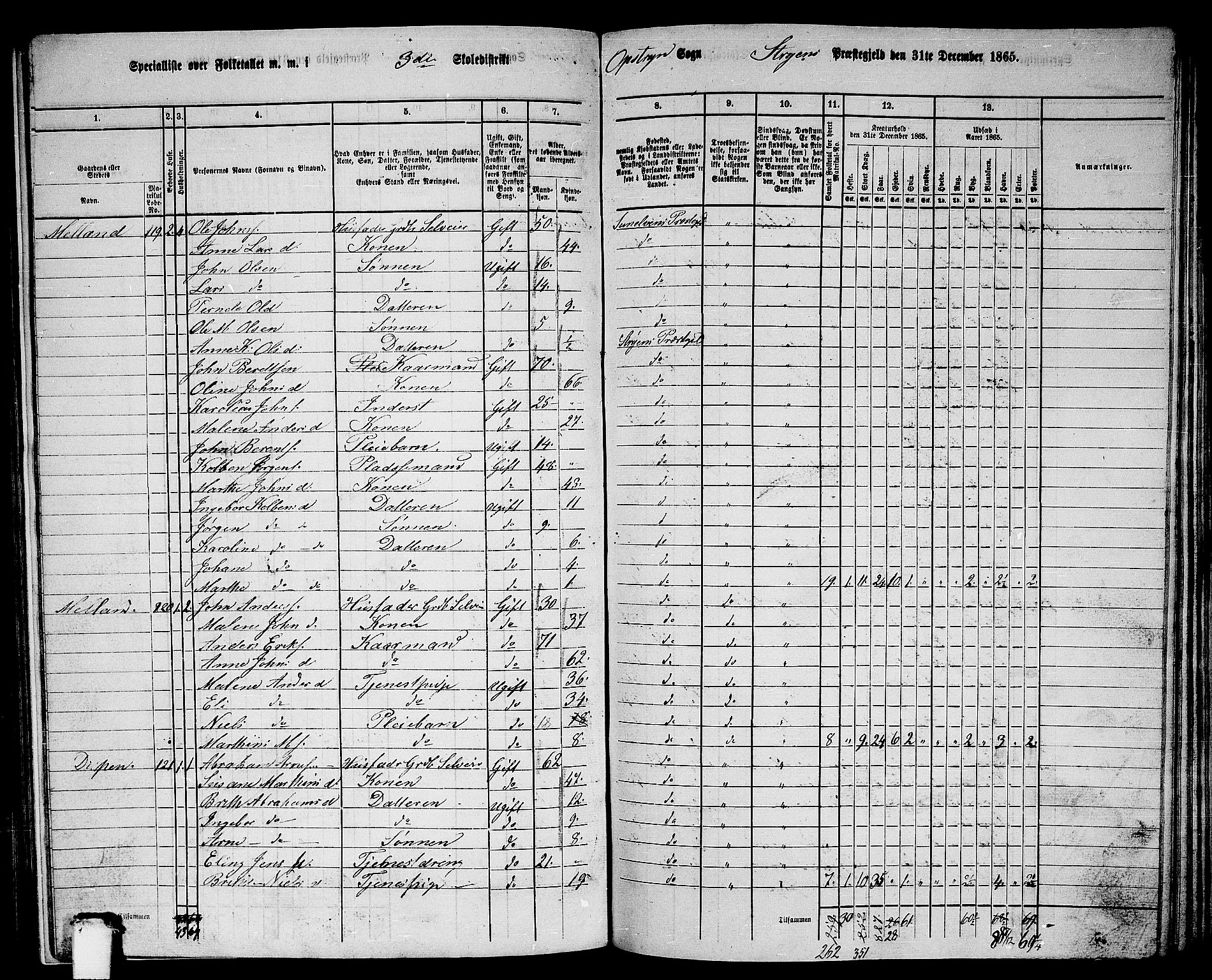 RA, 1865 census for Stryn, 1865, p. 14