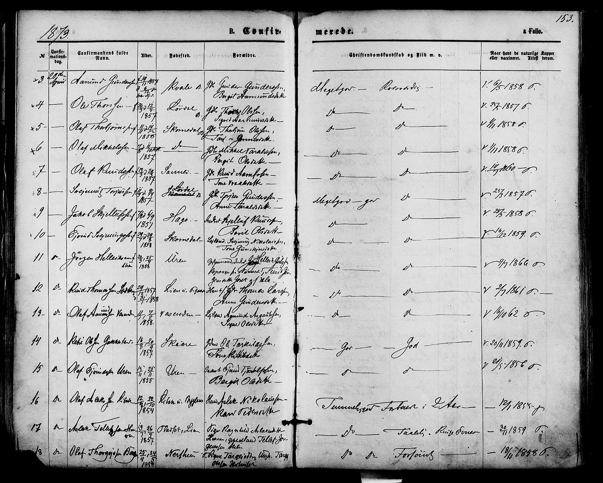 Bygland sokneprestkontor, AV/SAK-1111-0006/F/Fa/Fab/L0006: Parish register (official) no. A 6, 1873-1884, p. 153