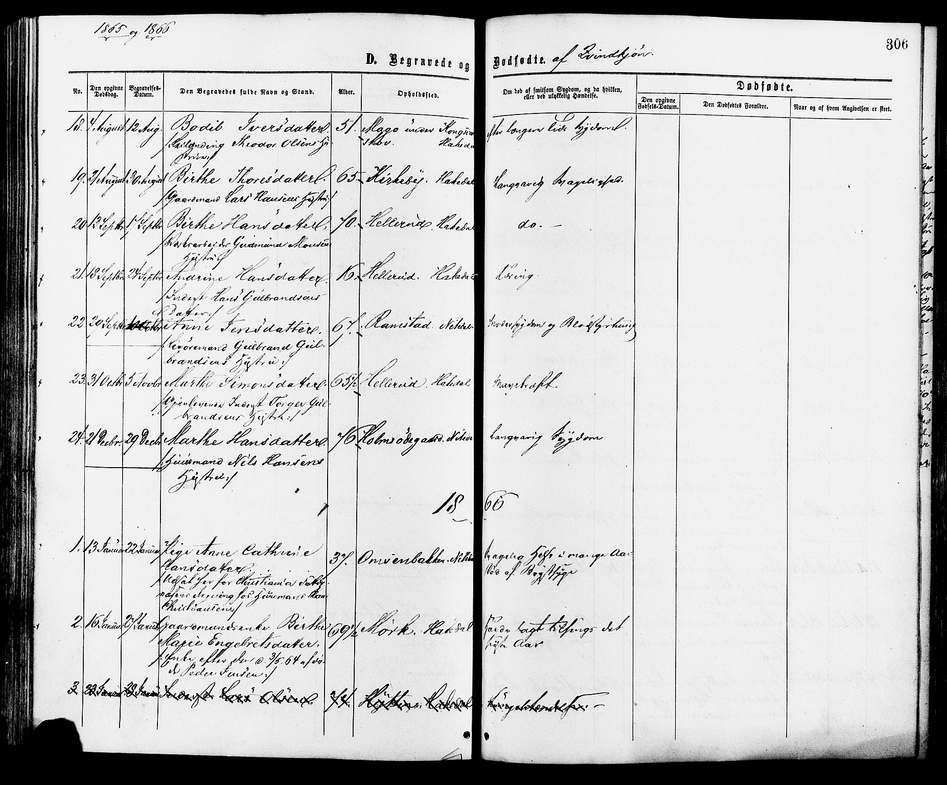 Nittedal prestekontor Kirkebøker, AV/SAO-A-10365a/F/Fa/L0006: Parish register (official) no. I 6, 1863-1878, p. 306