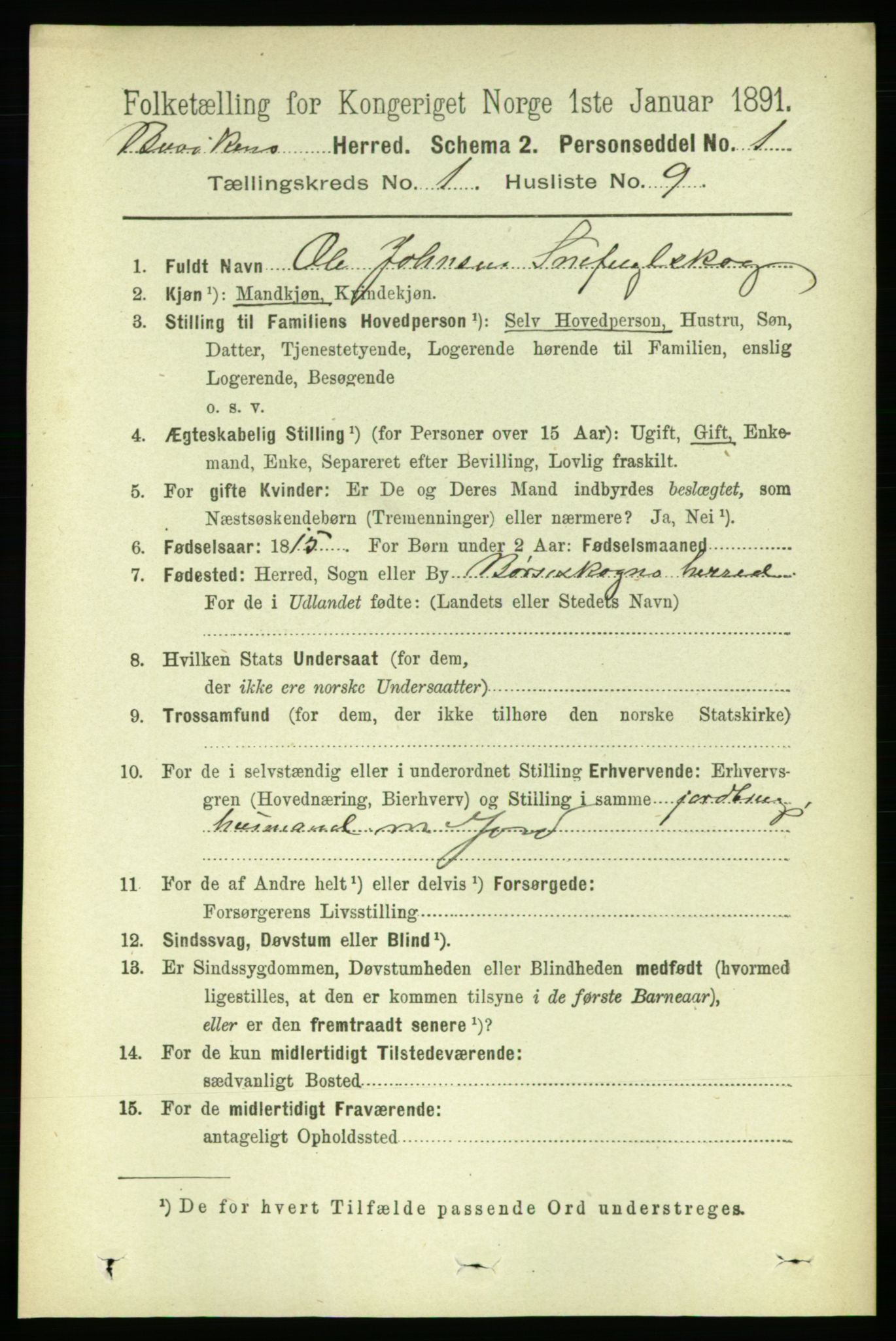 RA, 1891 census for 1656 Buvik, 1891, p. 134