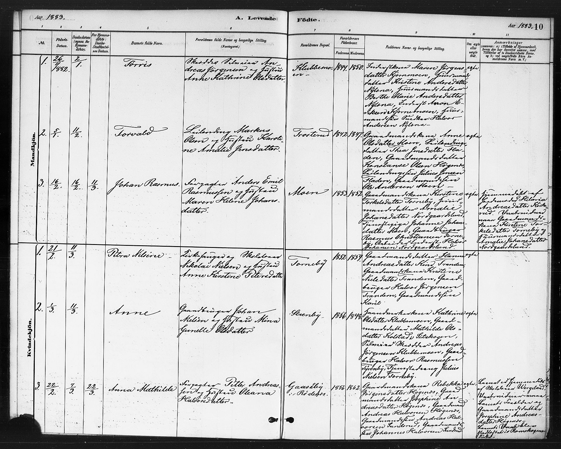 Rødenes prestekontor Kirkebøker, AV/SAO-A-2005/F/Fb/L0001: Parish register (official) no. II 1, 1880-1889, p. 10