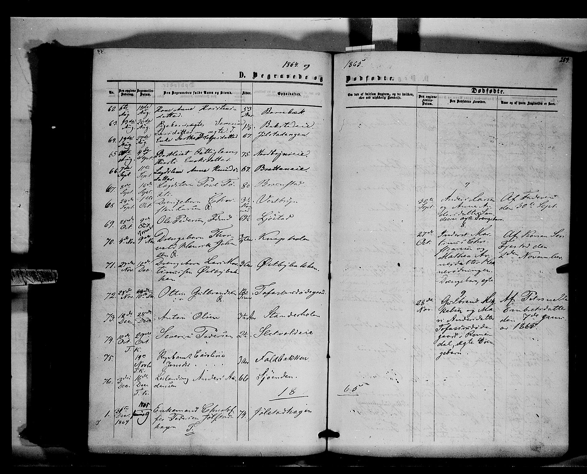 Romedal prestekontor, AV/SAH-PREST-004/K/L0005: Parish register (official) no. 5, 1862-1874, p. 259