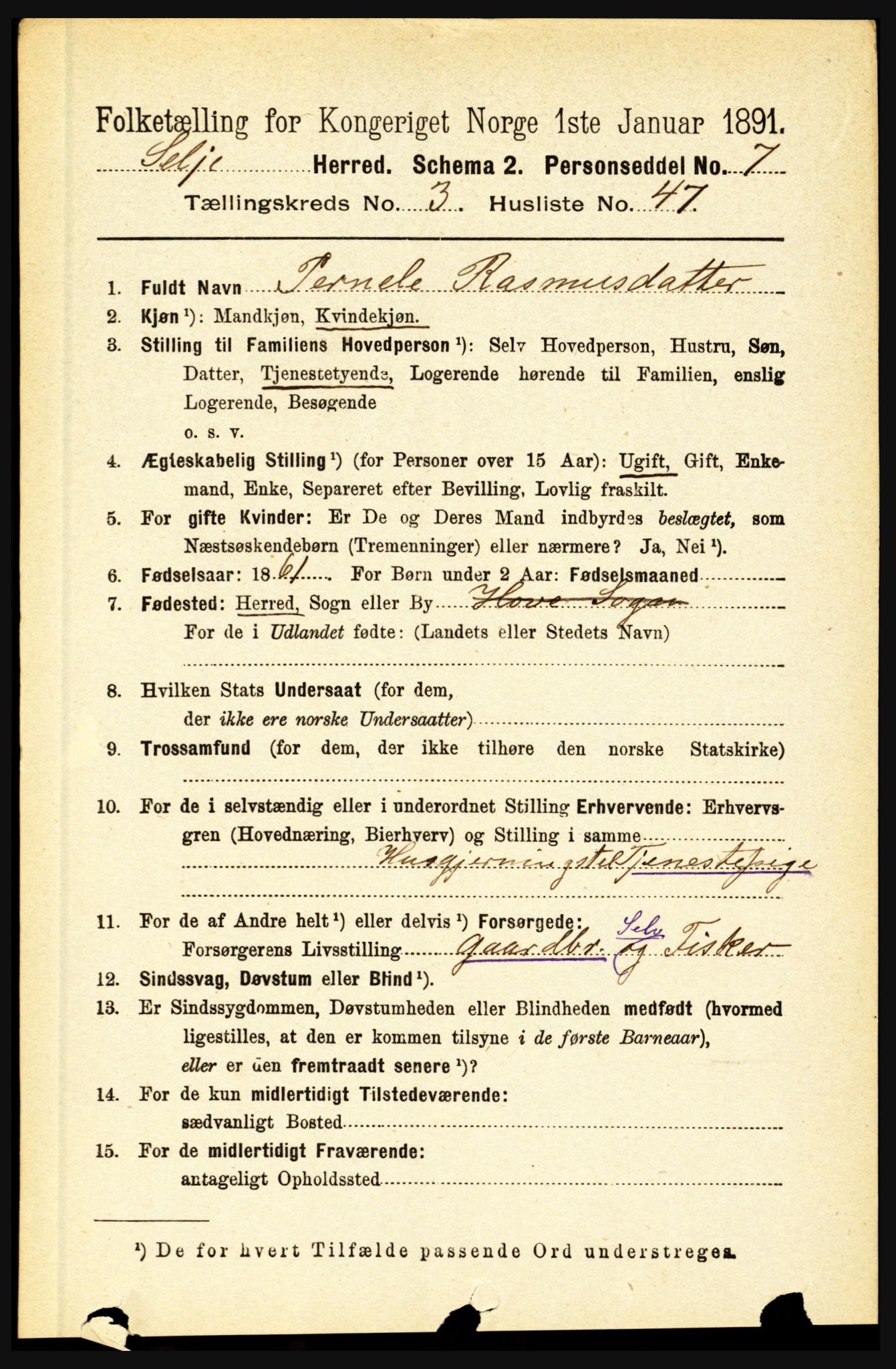 RA, 1891 census for 1441 Selje, 1891, p. 896