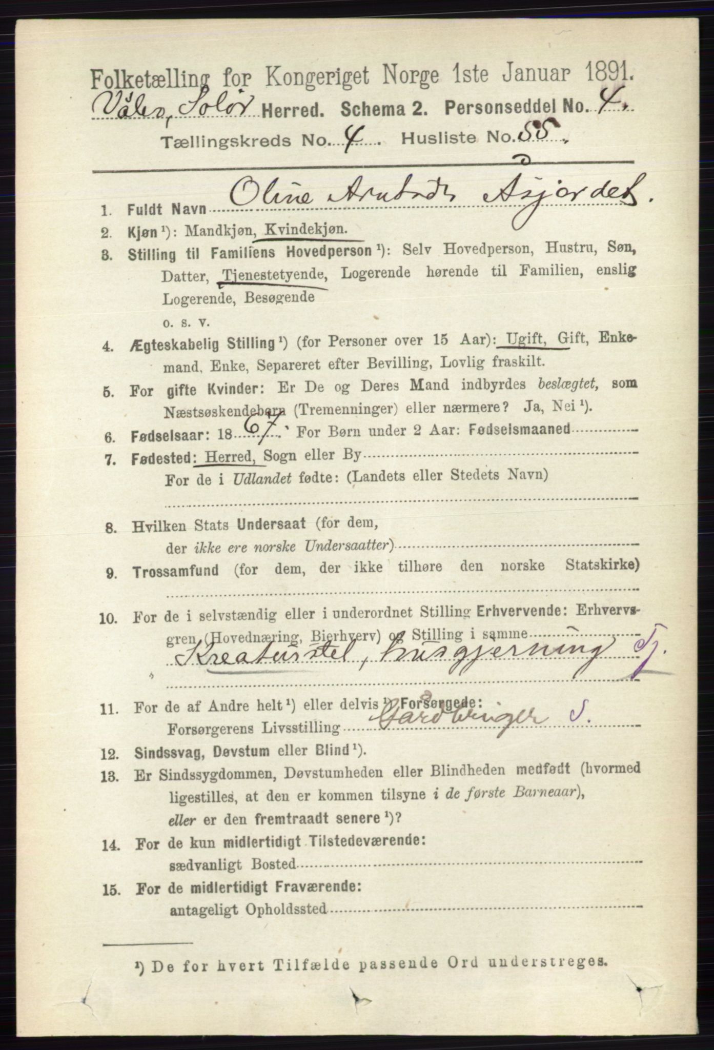 RA, 1891 census for 0426 Våler, 1891, p. 1803