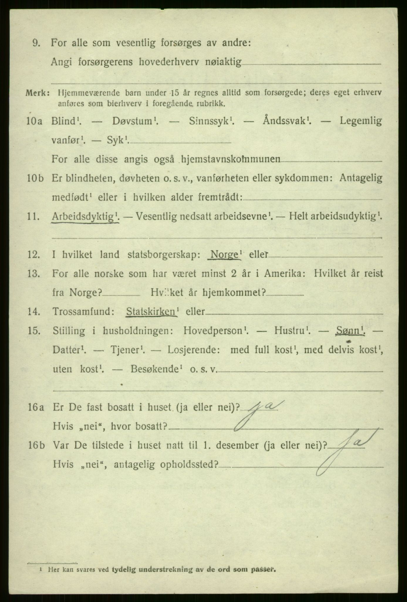 SAB, 1920 census for Voss, 1920, p. 10734