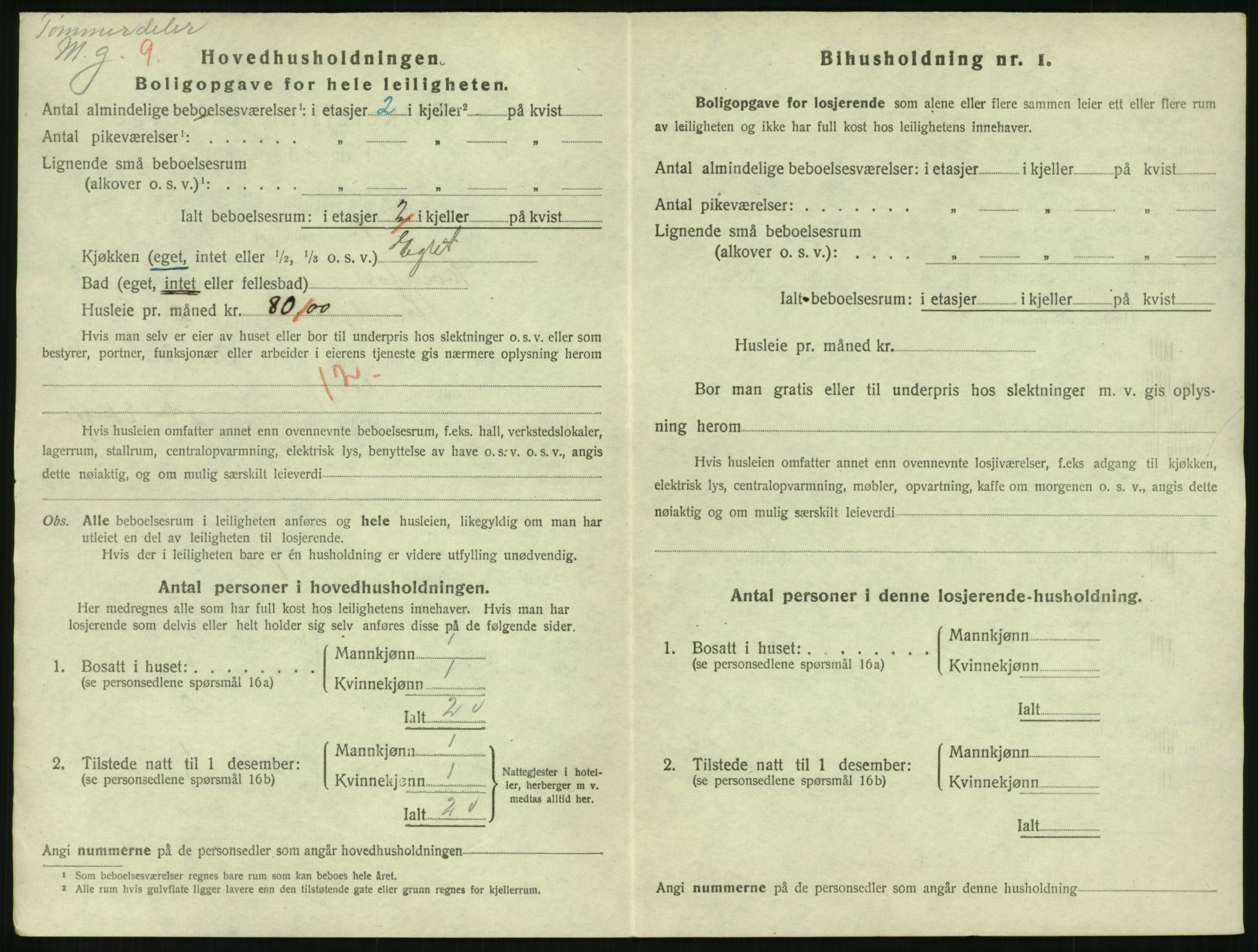 SAKO, 1920 census for Hønefoss, 1920, p. 1155