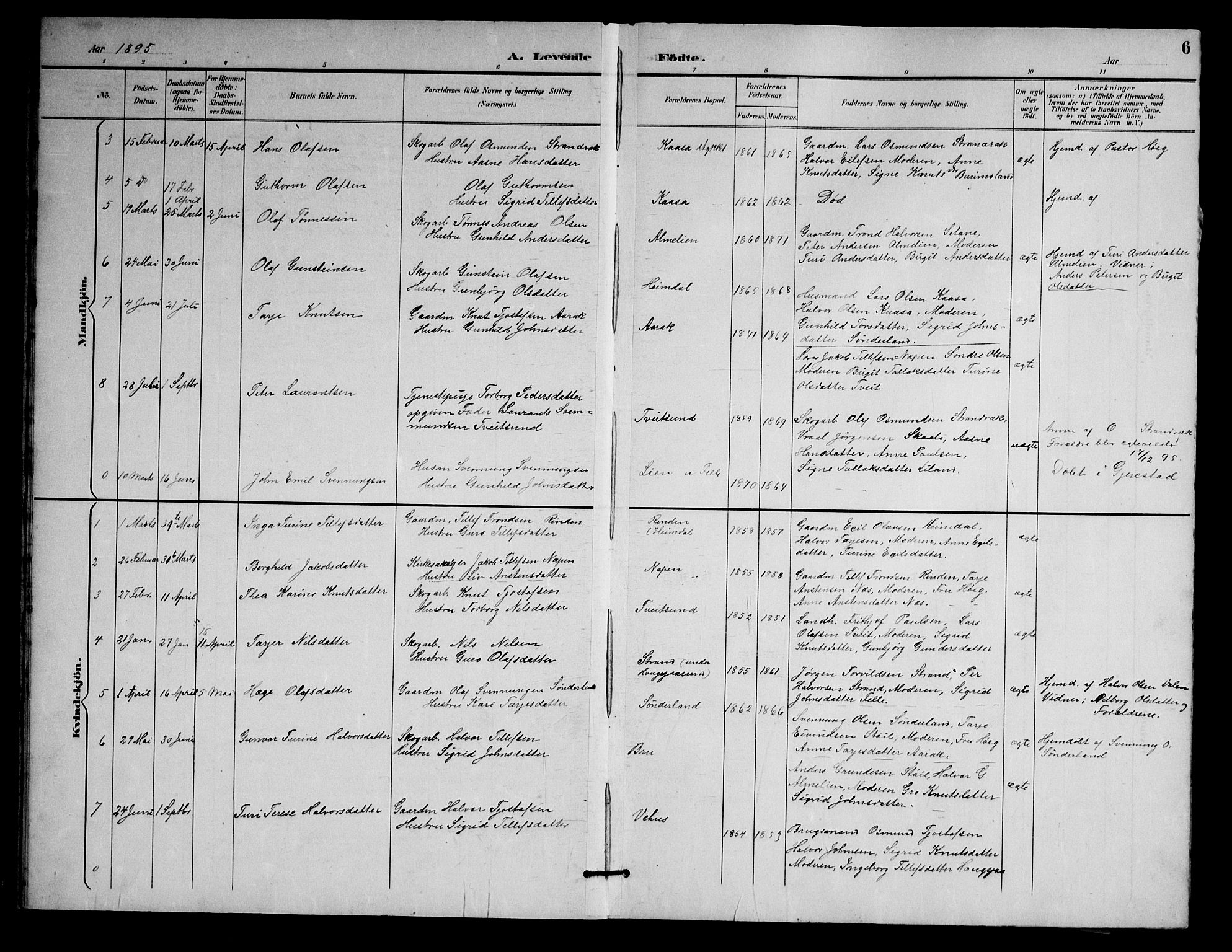 Nissedal kirkebøker, AV/SAKO-A-288/G/Gb/L0003: Parish register (copy) no. II 3, 1893-1928, p. 6