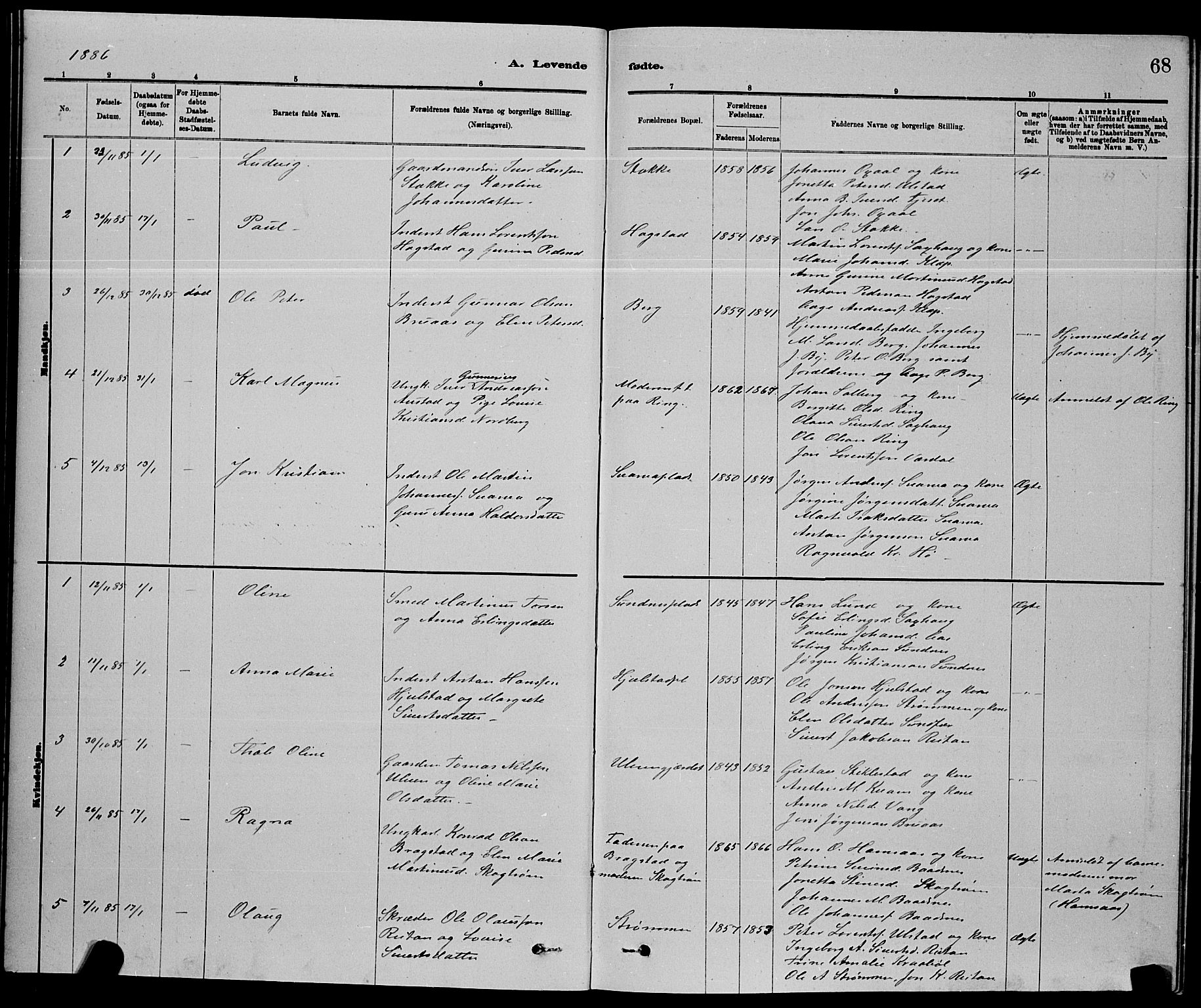 Ministerialprotokoller, klokkerbøker og fødselsregistre - Nord-Trøndelag, SAT/A-1458/730/L0301: Parish register (copy) no. 730C04, 1880-1897, p. 68