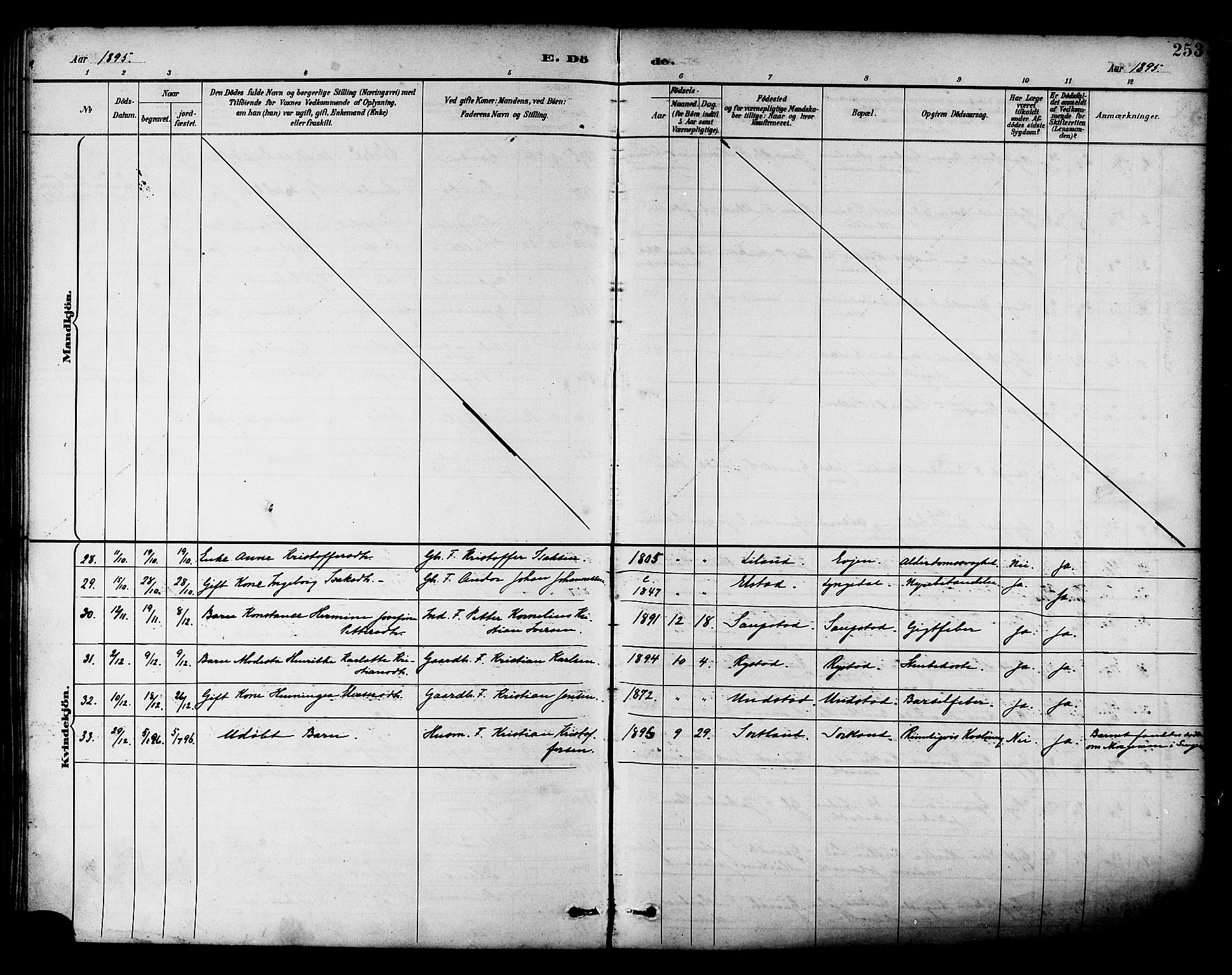 Ministerialprotokoller, klokkerbøker og fødselsregistre - Nordland, AV/SAT-A-1459/880/L1133: Parish register (official) no. 880A07, 1888-1898, p. 253