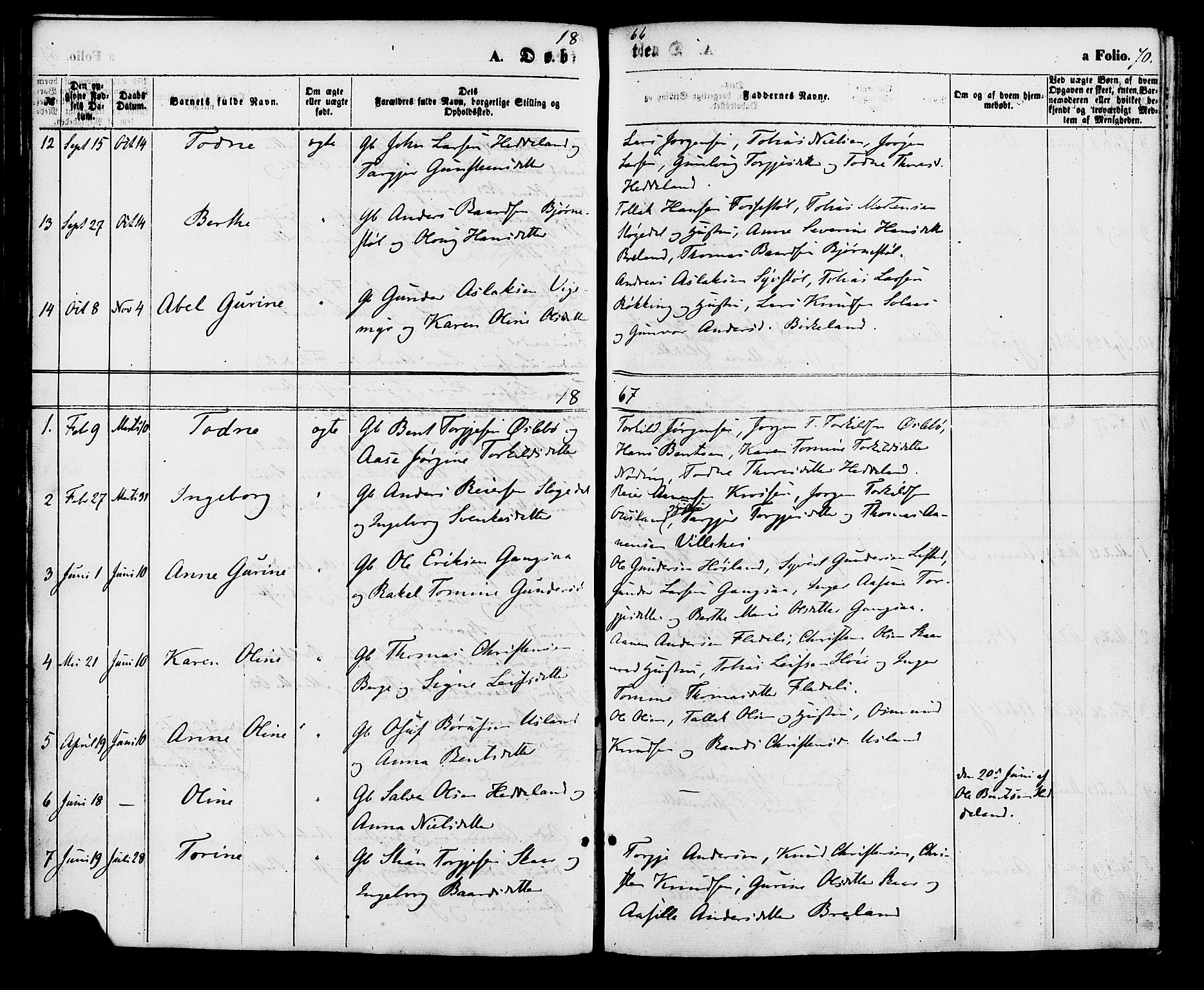 Holum sokneprestkontor, AV/SAK-1111-0022/F/Fa/Fac/L0003: Parish register (official) no. A 3, 1860-1883, p. 70