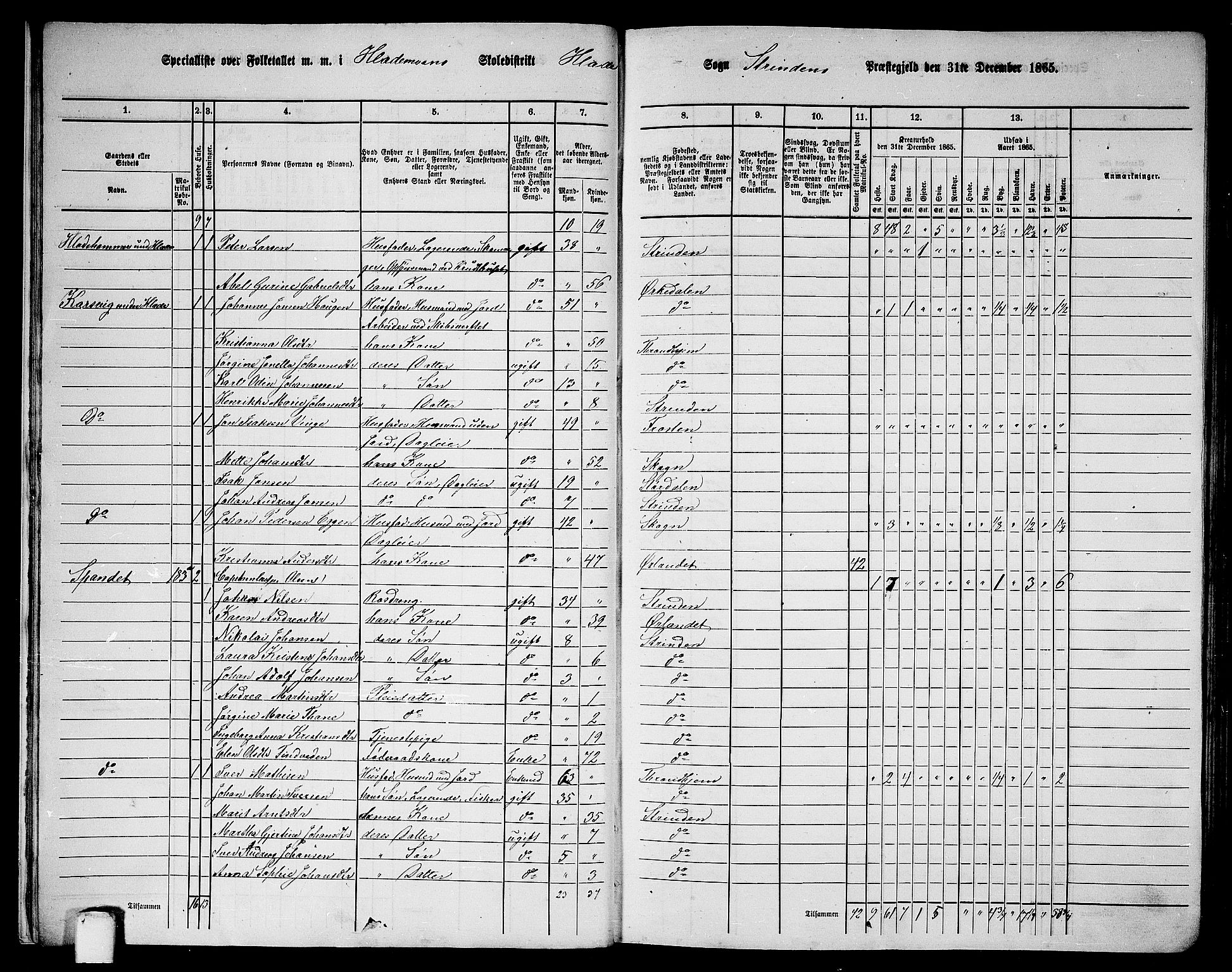 RA, 1865 census for Strinda, 1865, p. 15