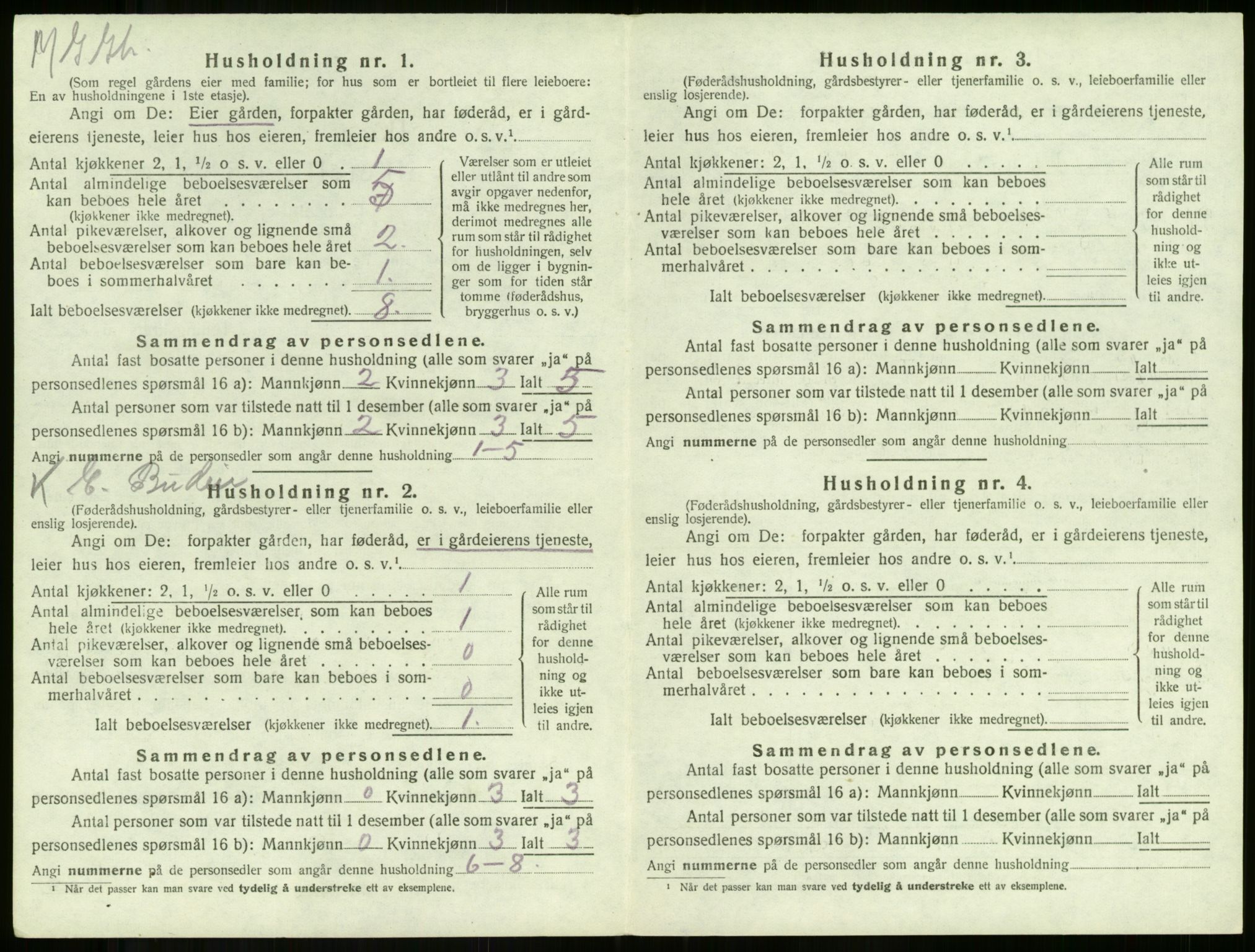 SAKO, 1920 census for Ramnes, 1920, p. 199