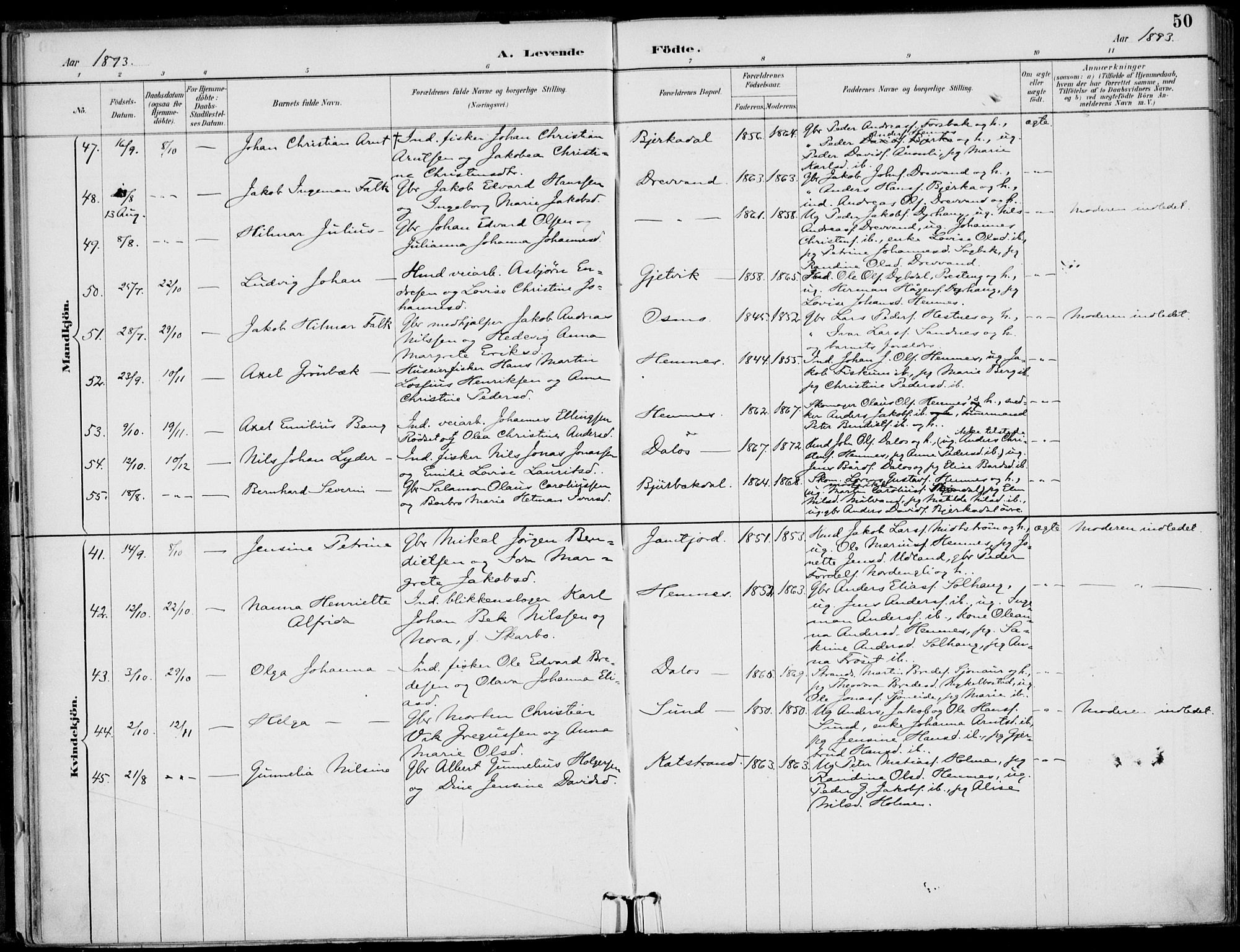 Ministerialprotokoller, klokkerbøker og fødselsregistre - Nordland, AV/SAT-A-1459/825/L0362: Parish register (official) no. 825A16, 1886-1908, p. 50