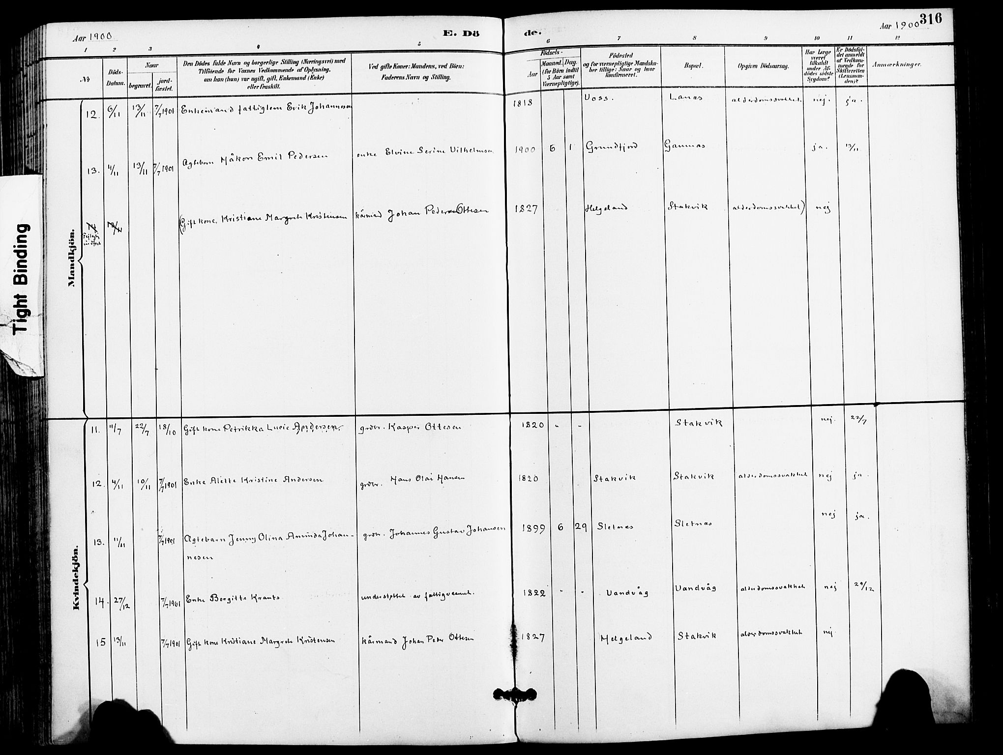 Karlsøy sokneprestembete, AV/SATØ-S-1299/H/Ha/Haa/L0007kirke: Parish register (official) no. 7, 1891-1902, p. 316