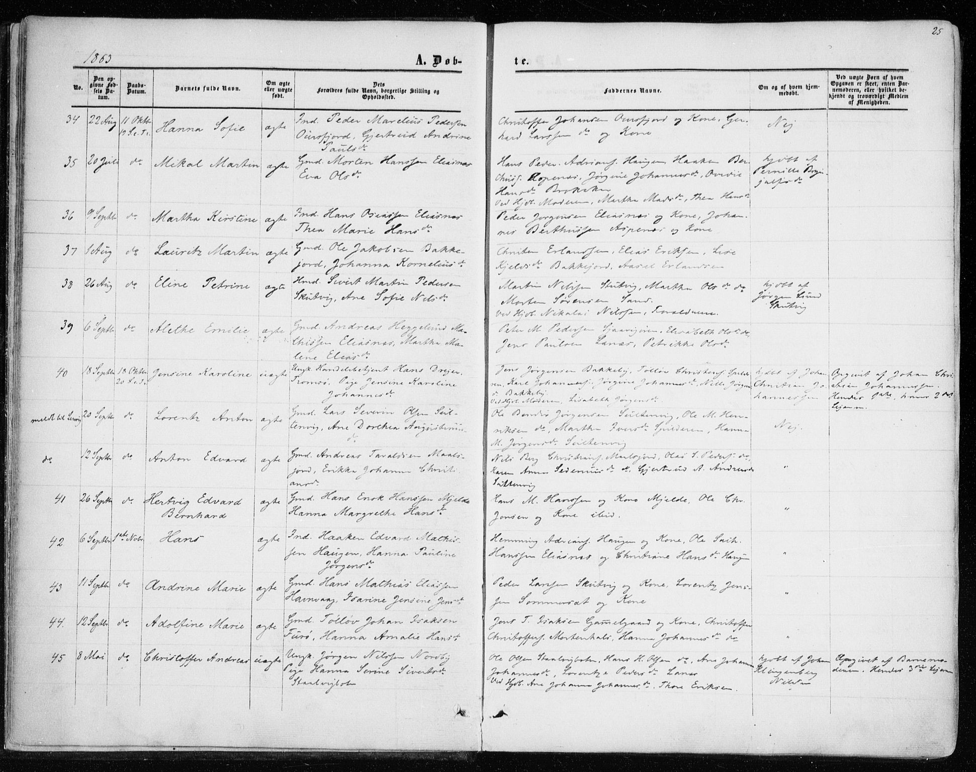 Balsfjord sokneprestembete, AV/SATØ-S-1303/G/Gaa/L0001kirke: Parish register (official) no. 1, 1858-1870, p. 25