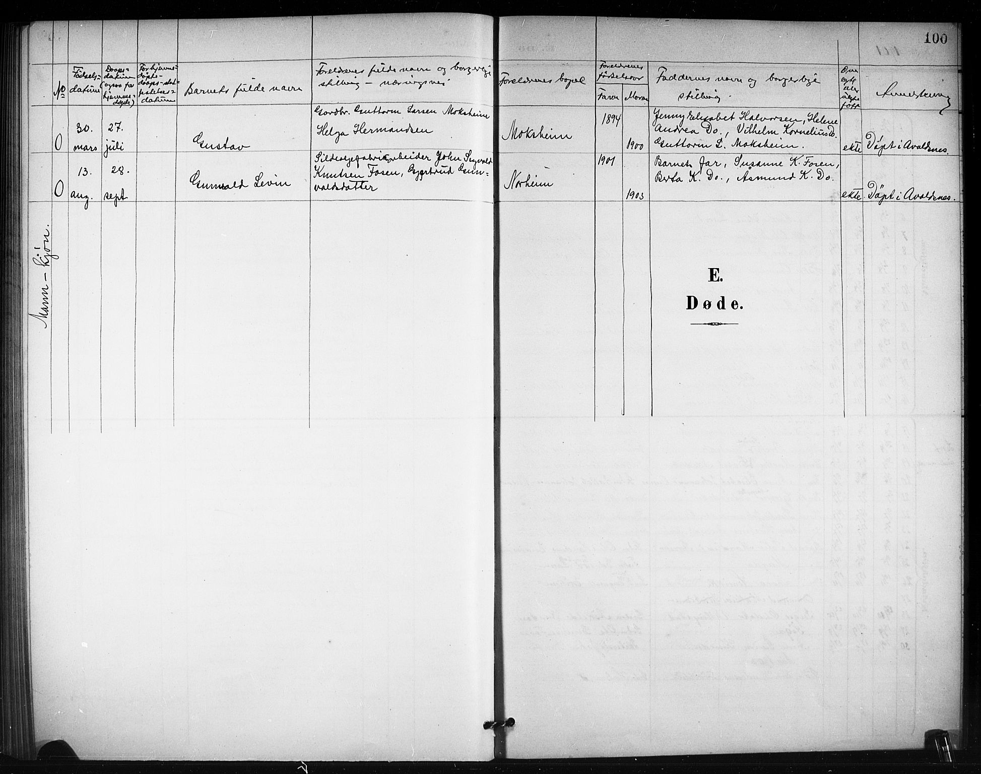 Torvastad sokneprestkontor, SAST/A -101857/H/Ha/Hab/L0008: Parish register (copy) no. B 8, 1901-1924, p. 100