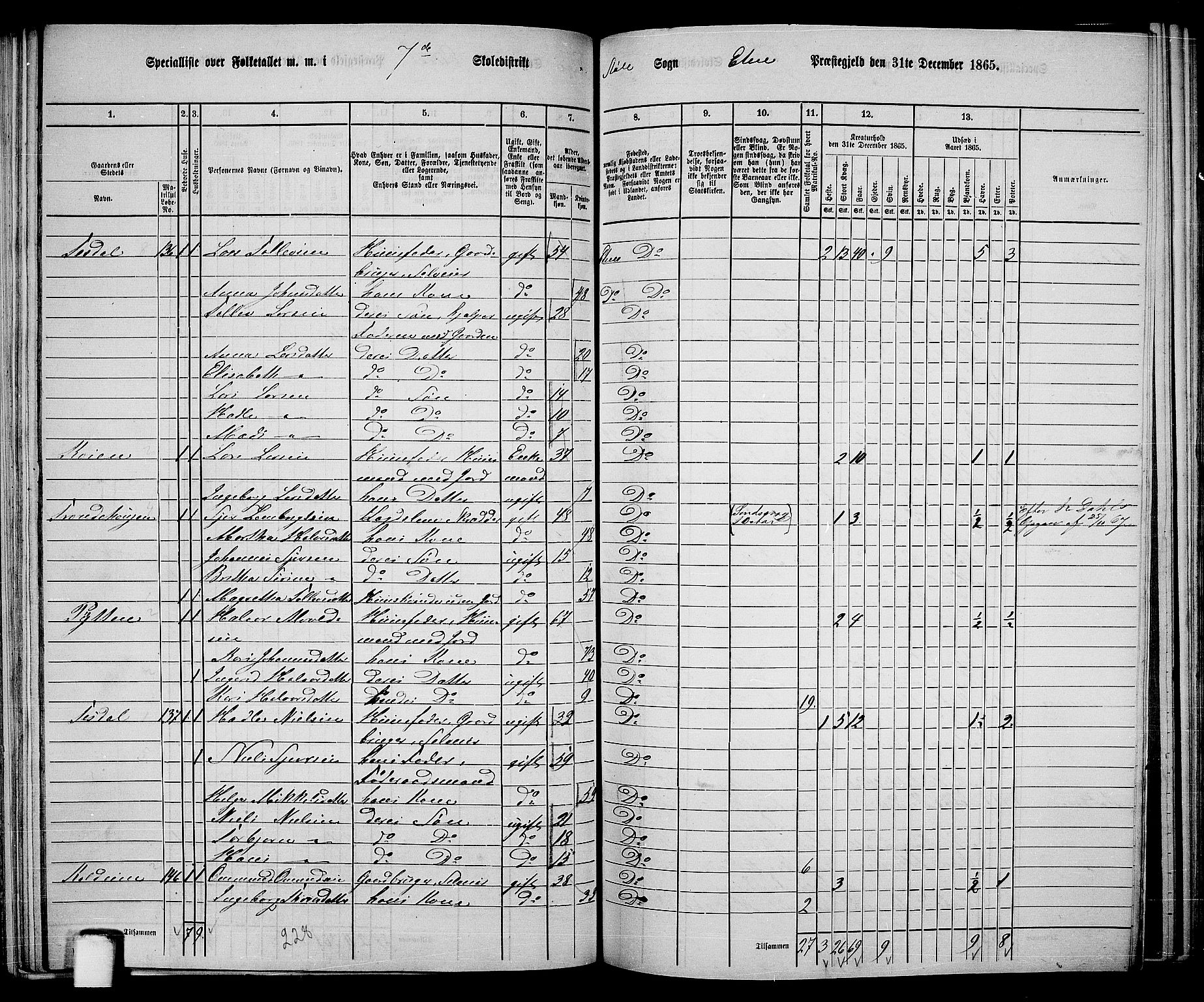 RA, 1865 census for Etne, 1865, p. 110