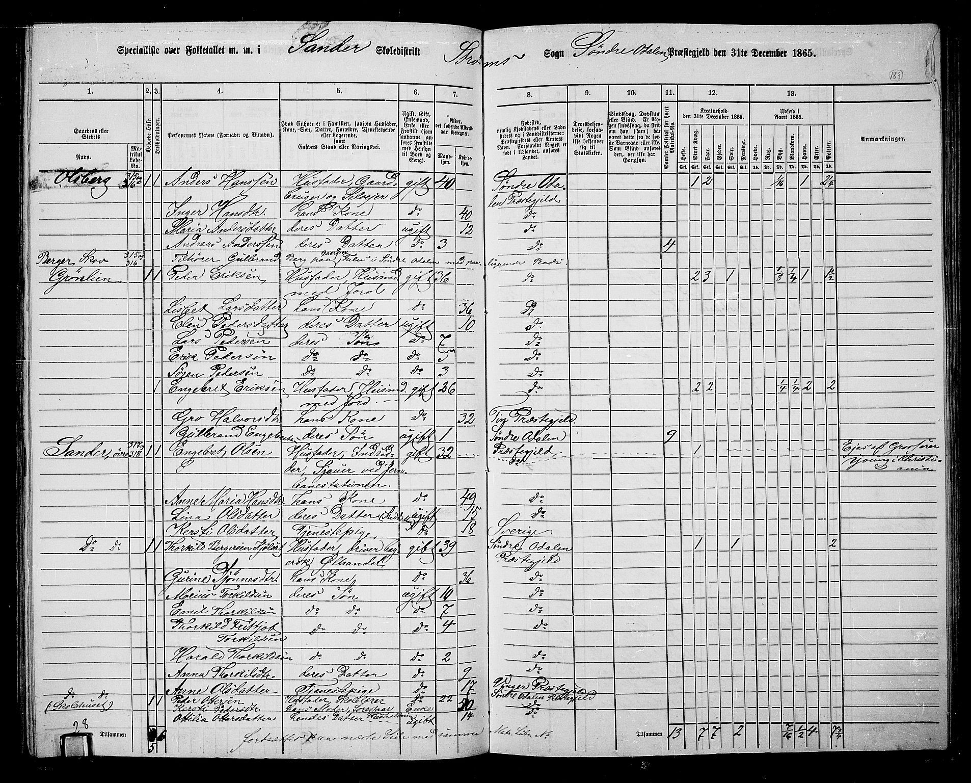 RA, 1865 census for Sør-Odal, 1865, p. 163