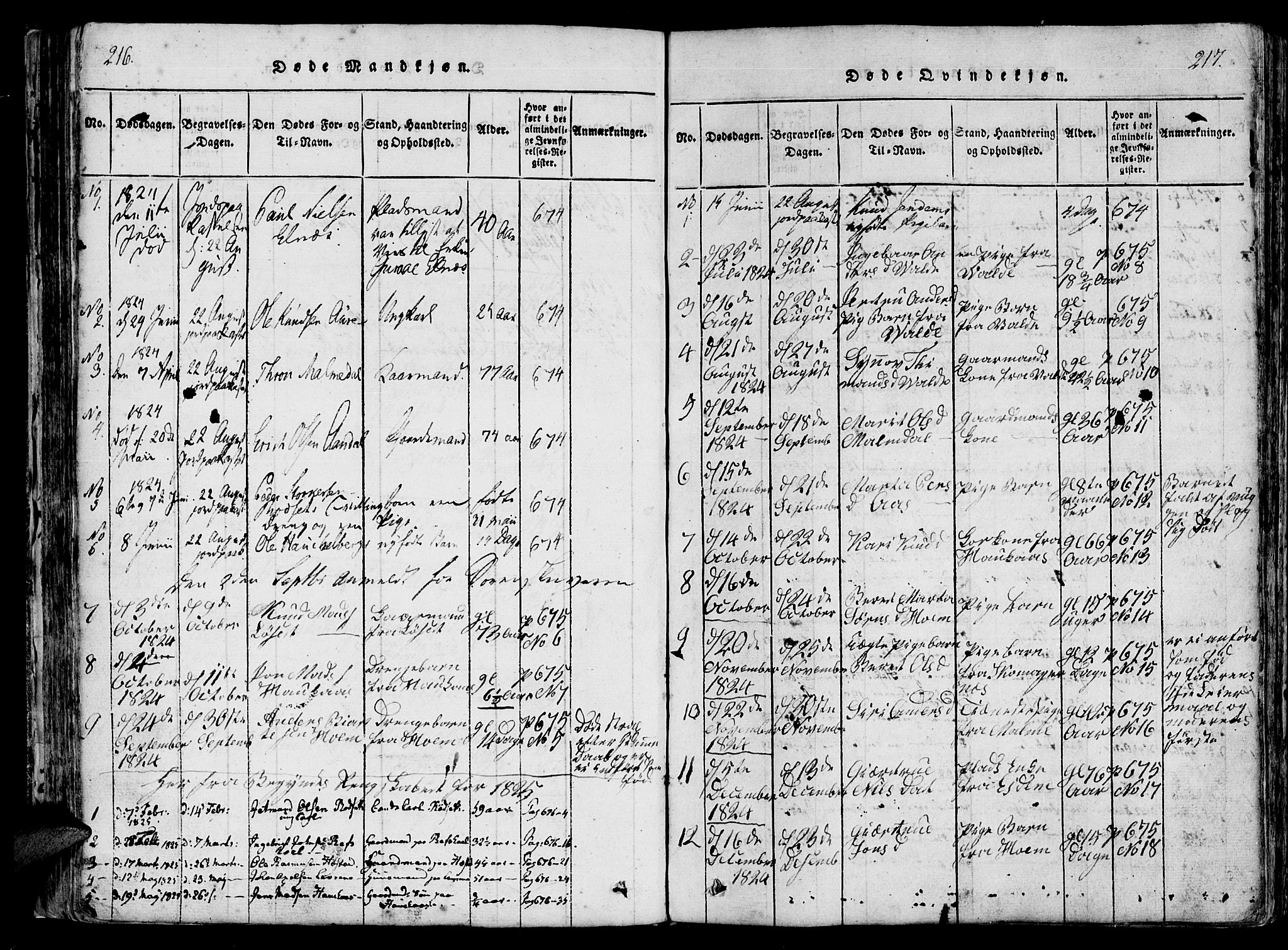 Ministerialprotokoller, klokkerbøker og fødselsregistre - Møre og Romsdal, SAT/A-1454/565/L0747: Parish register (official) no. 565A01, 1817-1844, p. 216-217