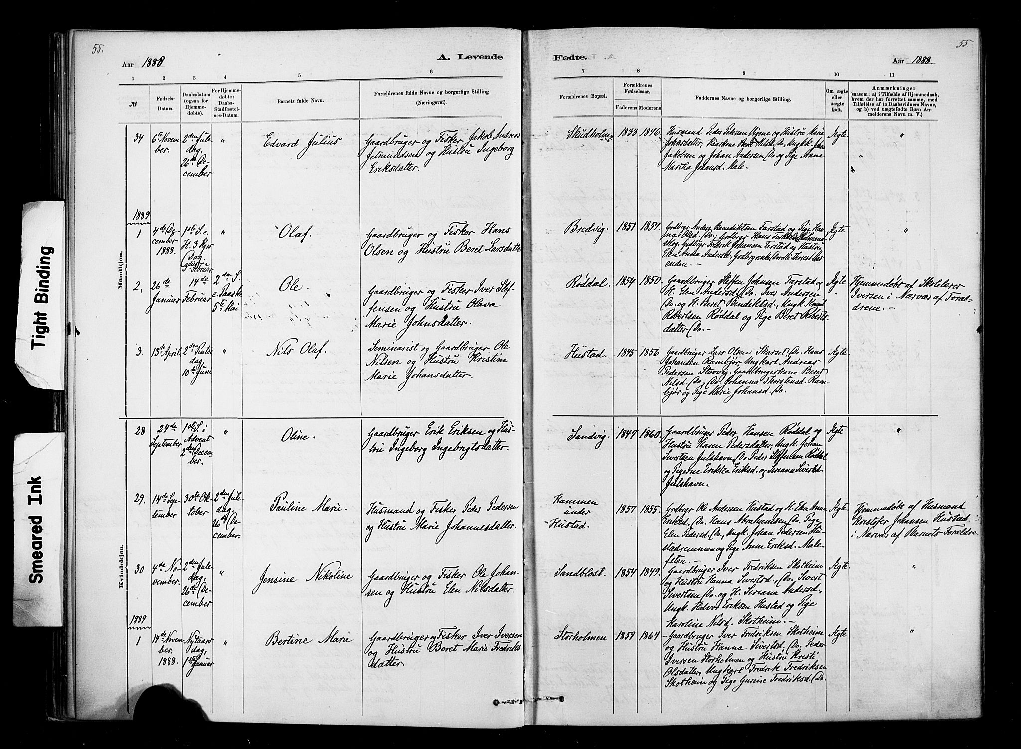 Ministerialprotokoller, klokkerbøker og fødselsregistre - Møre og Romsdal, AV/SAT-A-1454/567/L0778: Parish register (official) no. 567A01, 1881-1903, p. 55