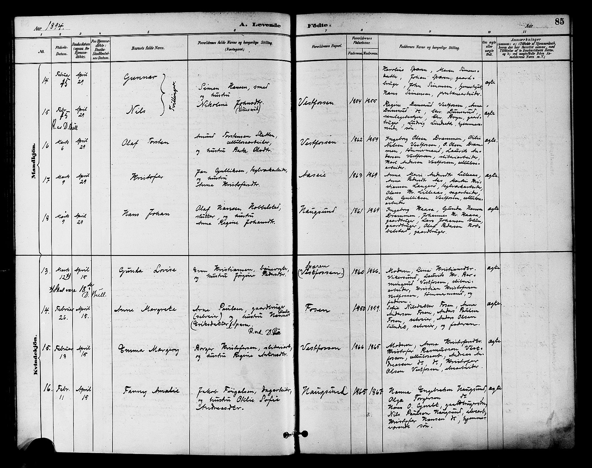 Eiker kirkebøker, SAKO/A-4/F/Fb/L0002: Parish register (official) no. II 2, 1889-1896, p. 85