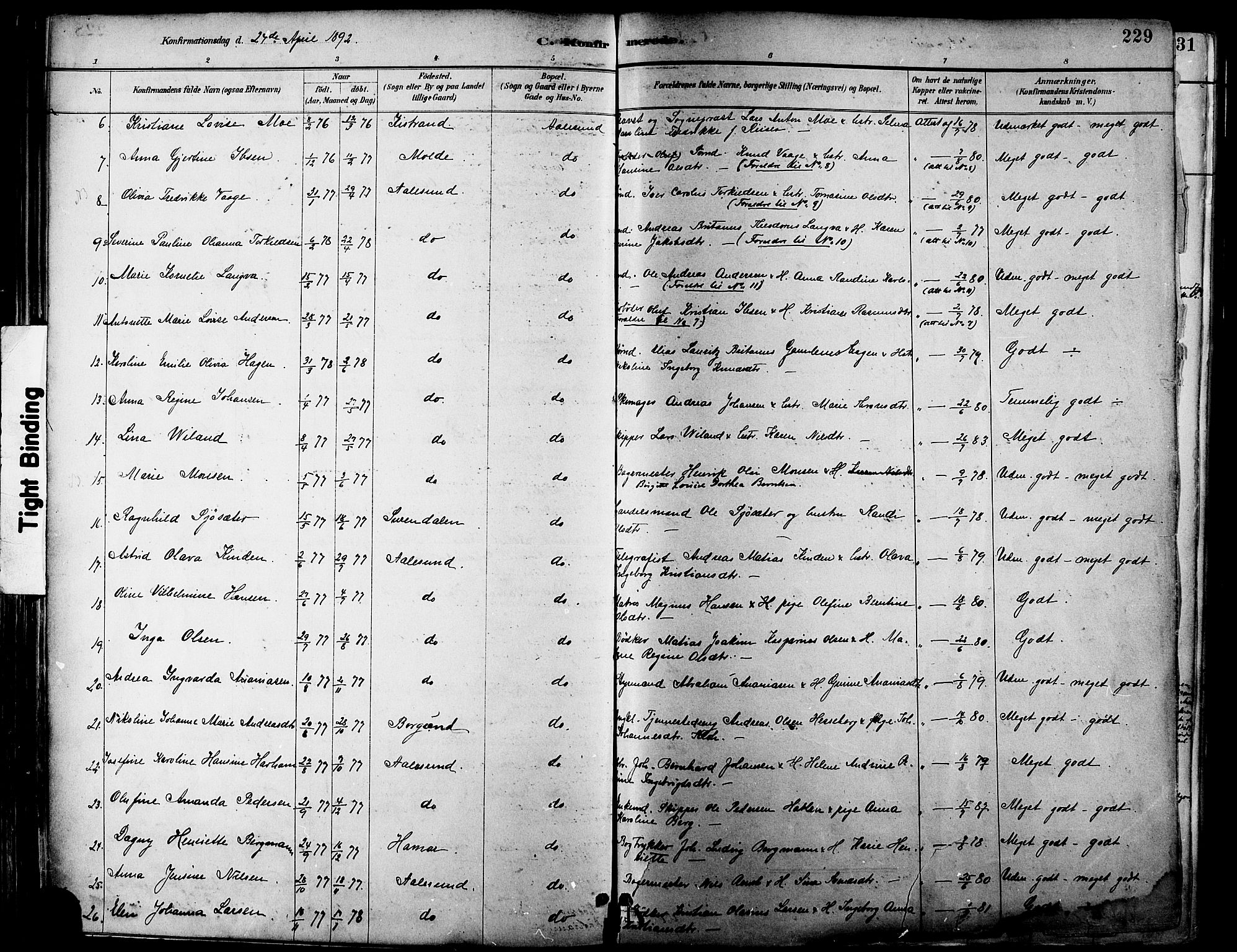 Ministerialprotokoller, klokkerbøker og fødselsregistre - Møre og Romsdal, AV/SAT-A-1454/529/L0455: Parish register (official) no. 529A05, 1885-1893, p. 229