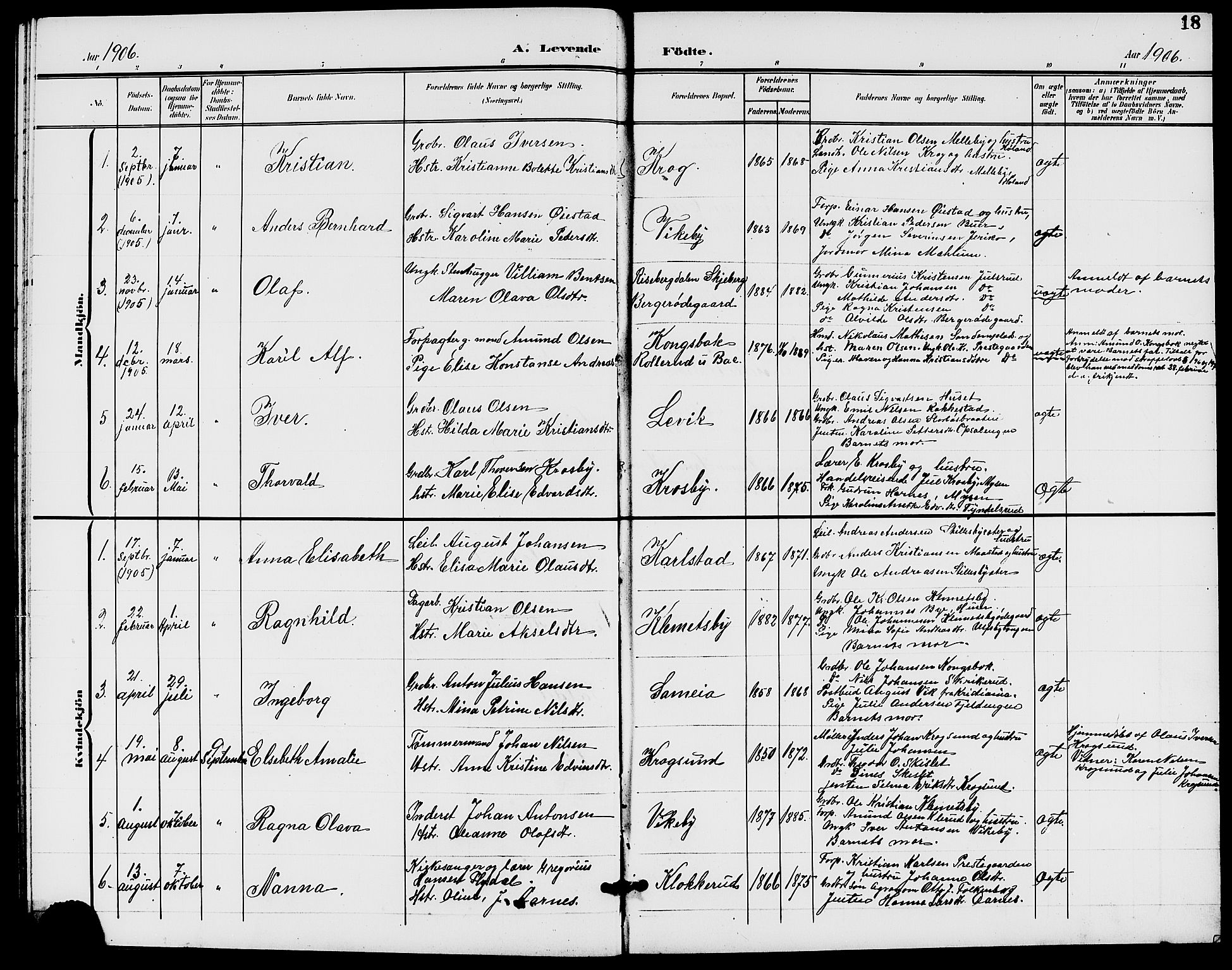 Rødenes prestekontor Kirkebøker, SAO/A-2005/G/Ga/L0002: Parish register (copy) no. I 2, 1901-1910, p. 18