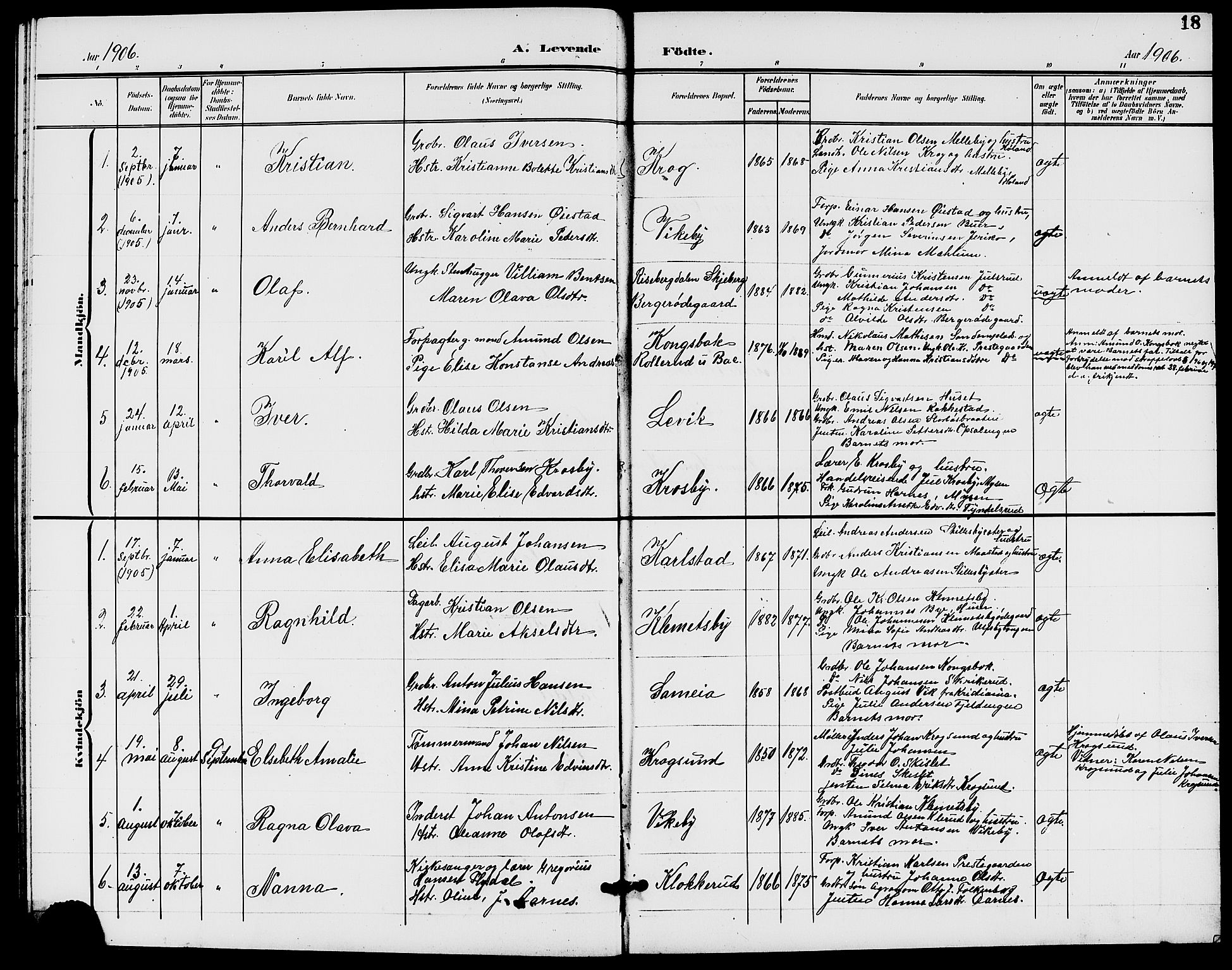 Rødenes prestekontor Kirkebøker, AV/SAO-A-2005/G/Ga/L0002: Parish register (copy) no. I 2, 1901-1910, p. 18