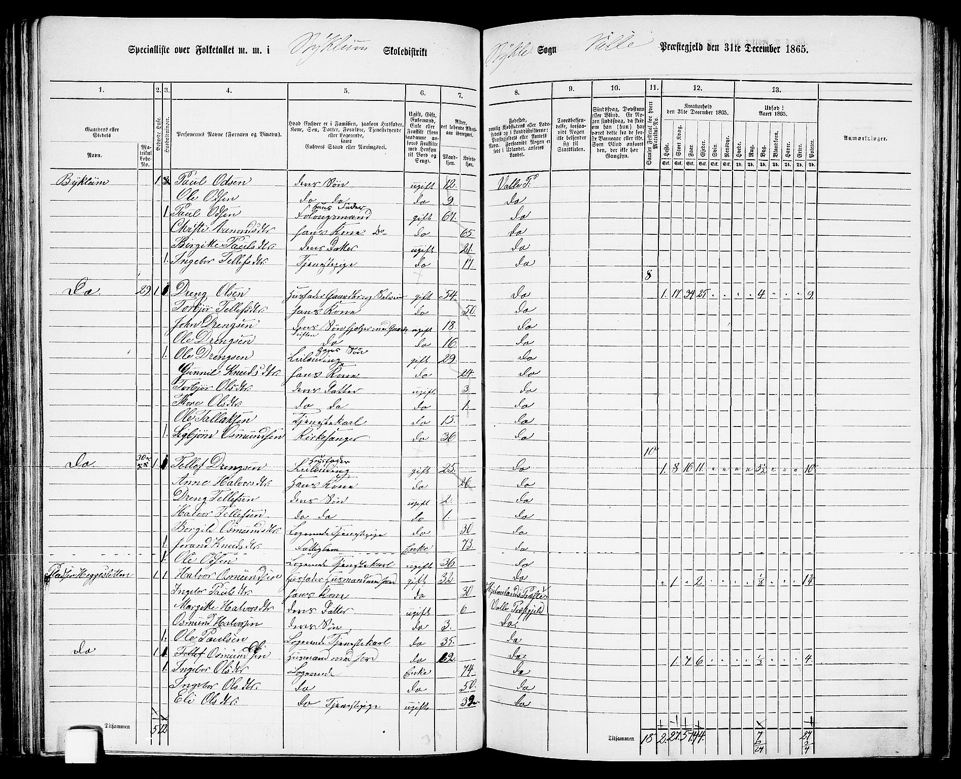 RA, 1865 census for Valle, 1865, p. 83