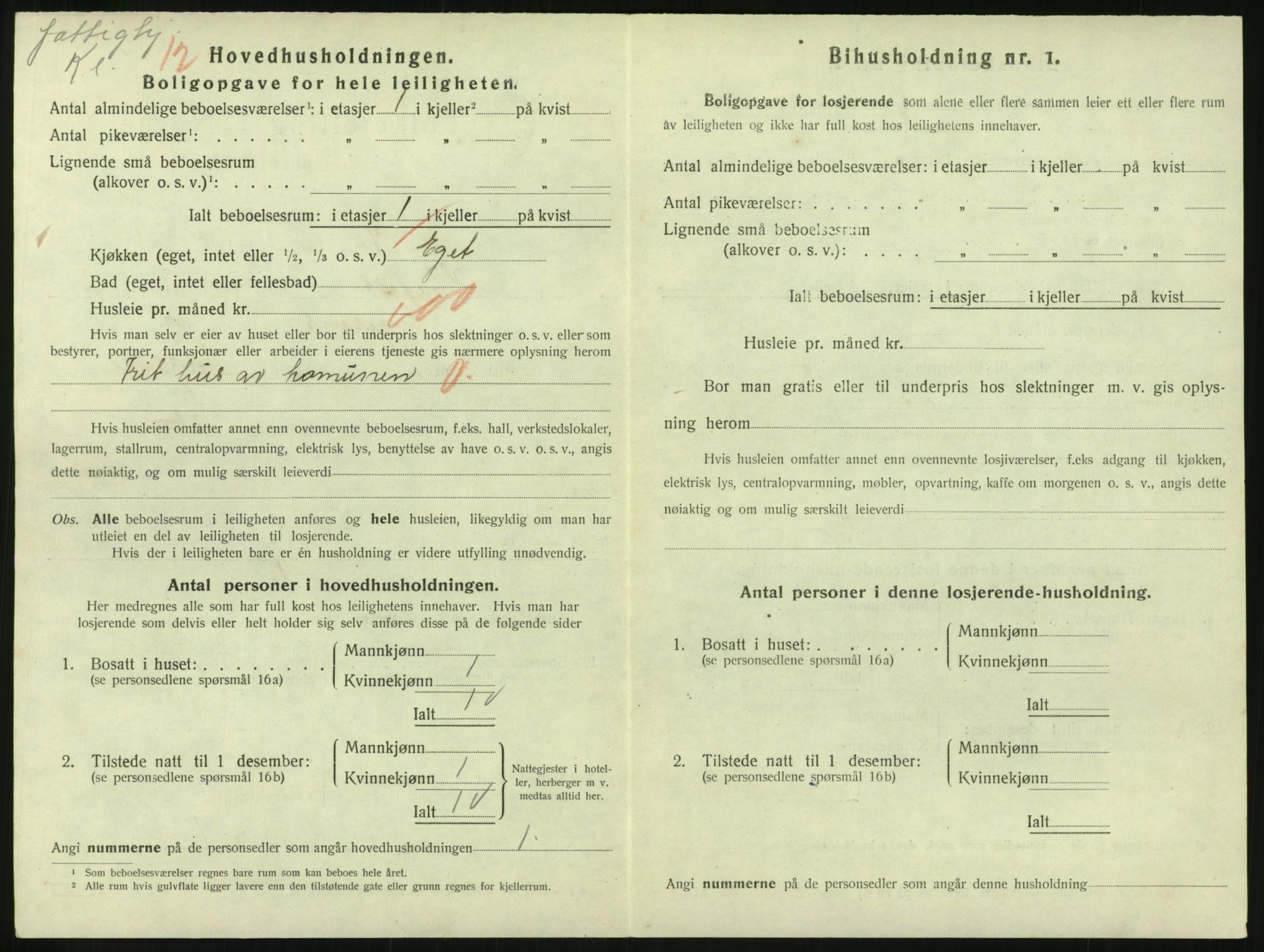 SAKO, 1920 census for Hønefoss, 1920, p. 1473