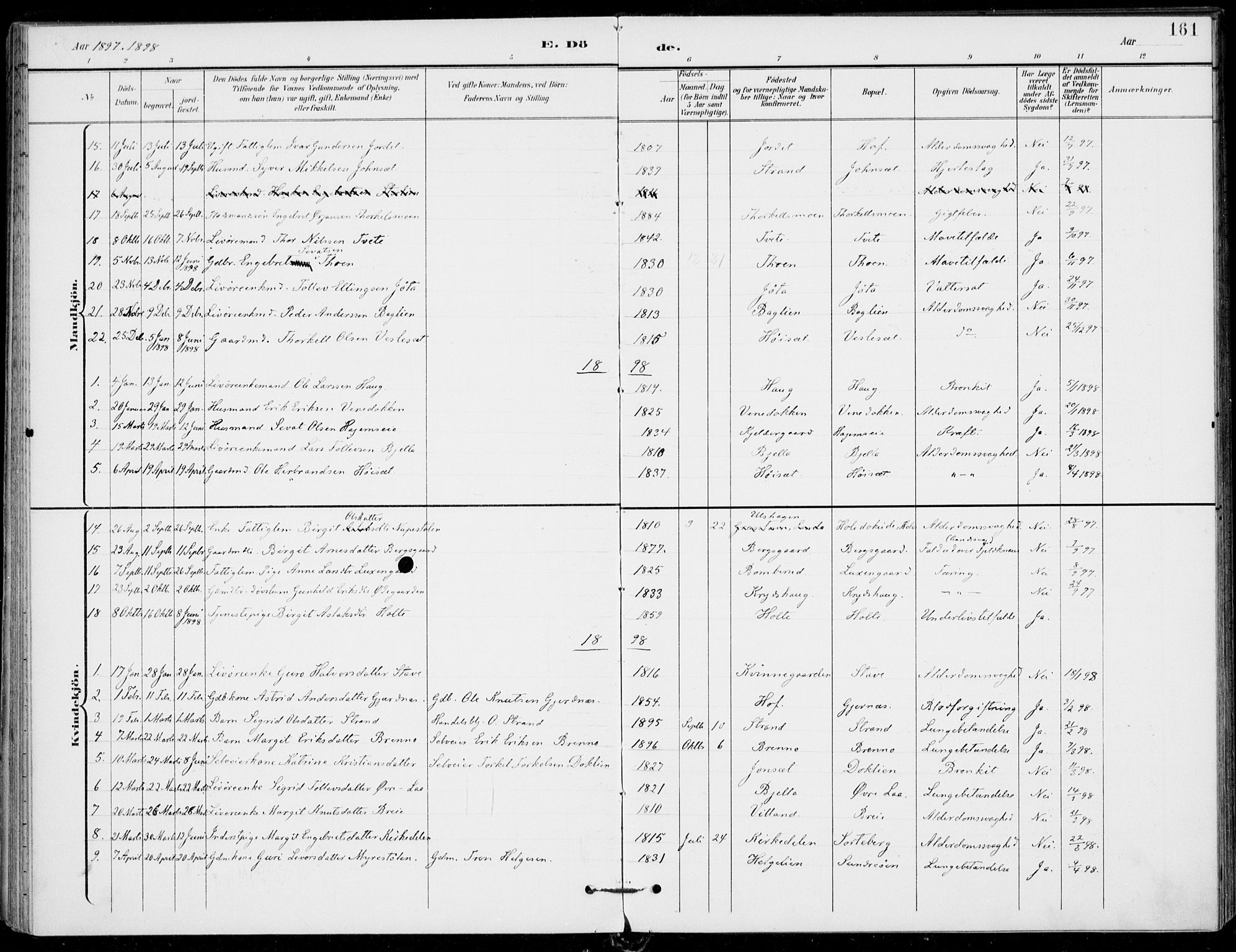 Ål kirkebøker, AV/SAKO-A-249/F/Fa/L0009: Parish register (official) no. I 9, 1897-1915, p. 161