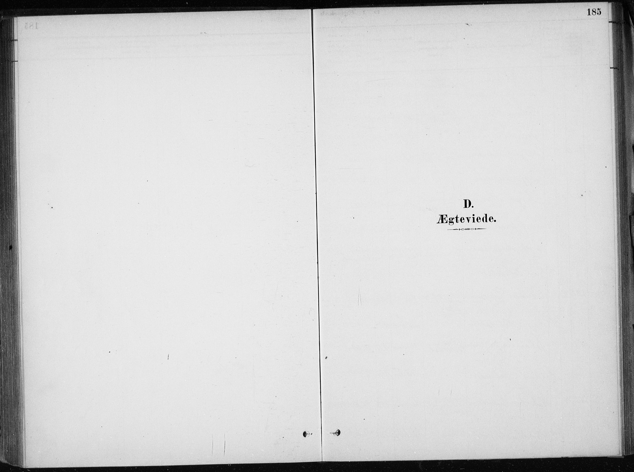 Skånevik sokneprestembete, SAB/A-77801/H/Haa: Parish register (official) no. E  1, 1879-1901, p. 185