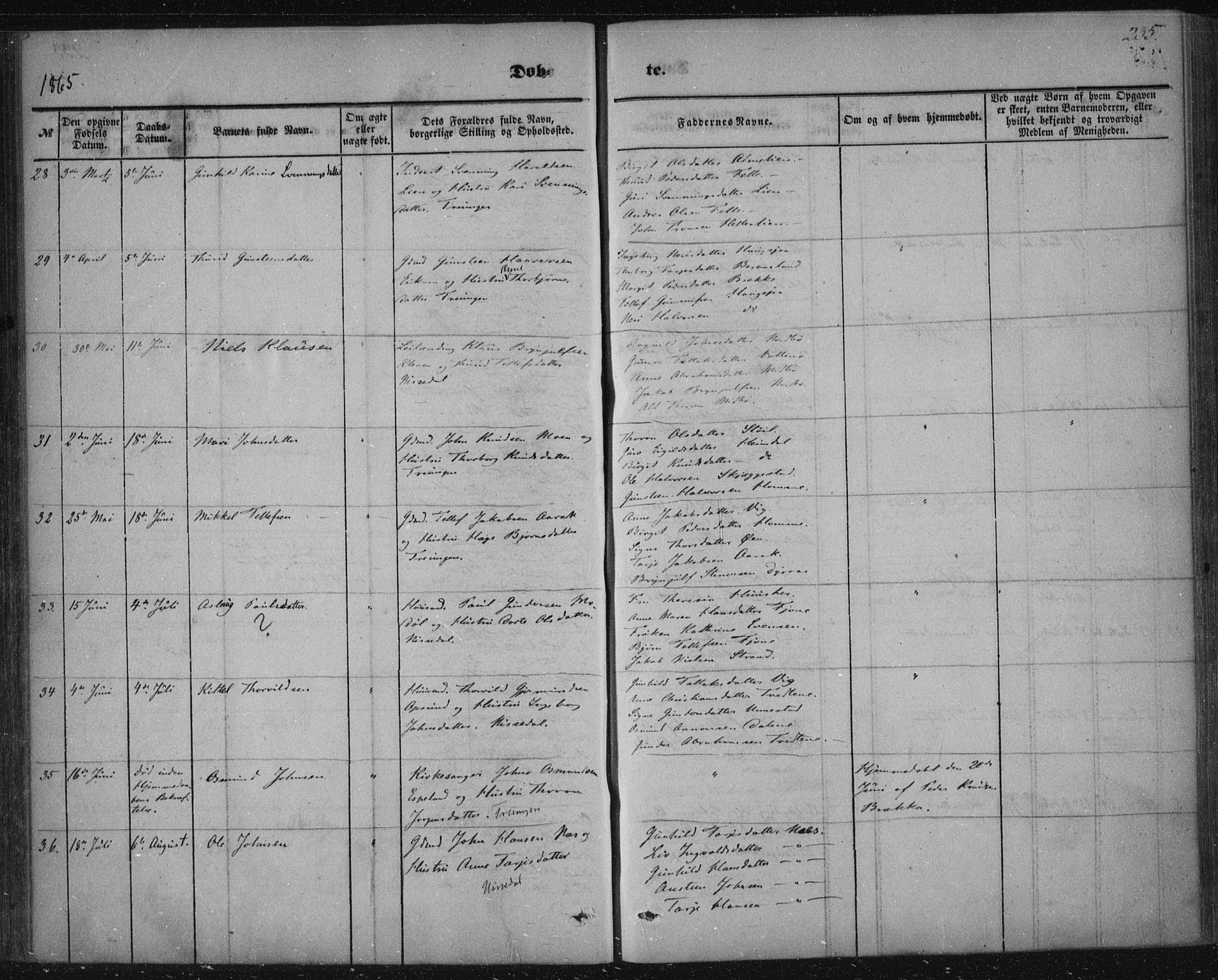 Nissedal kirkebøker, AV/SAKO-A-288/F/Fa/L0003: Parish register (official) no. I 3, 1846-1870, p. 234-235