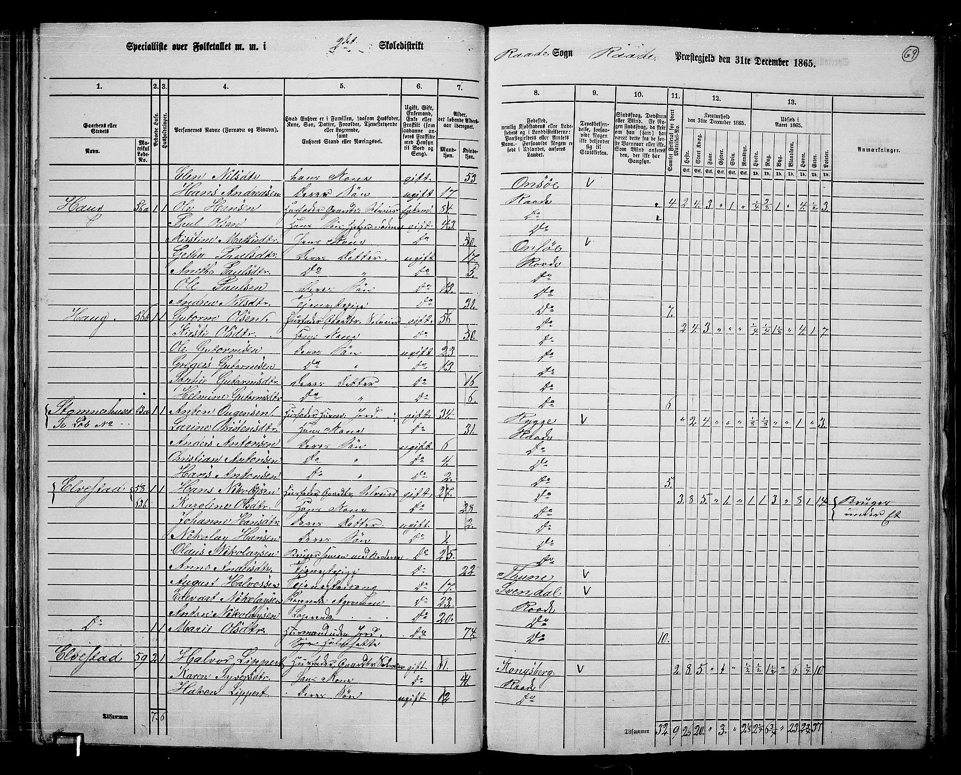 RA, 1865 census for Råde, 1865, p. 63