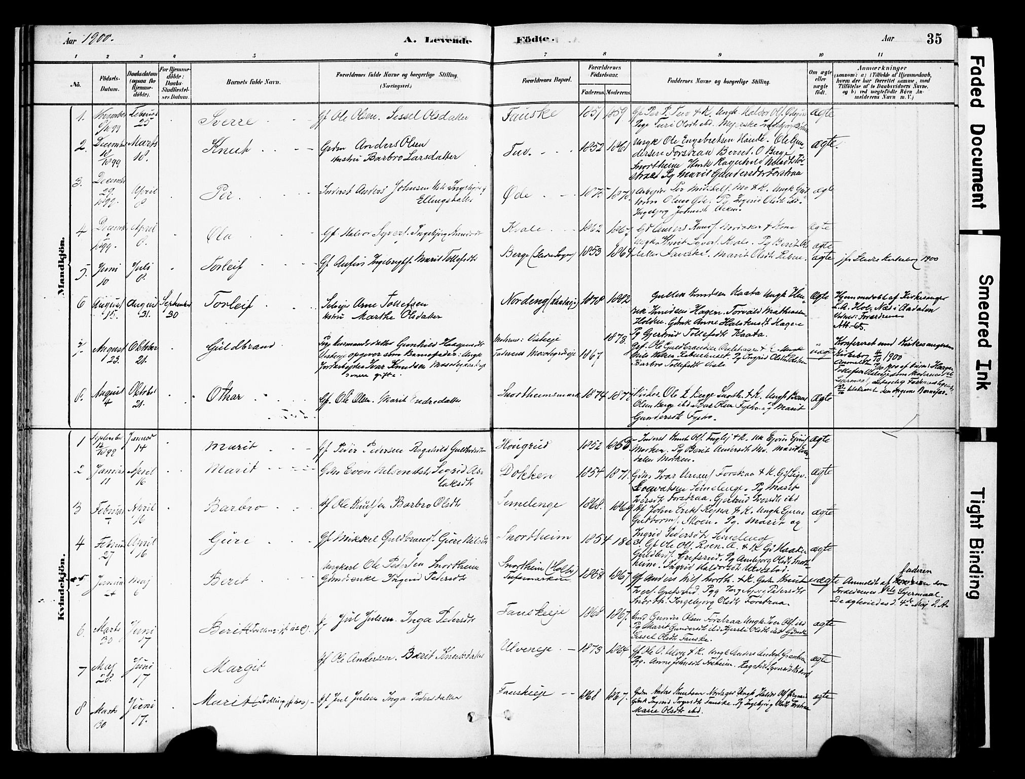 Vestre Slidre prestekontor, SAH/PREST-136/H/Ha/Haa/L0006: Parish register (official) no. 6, 1881-1912, p. 35