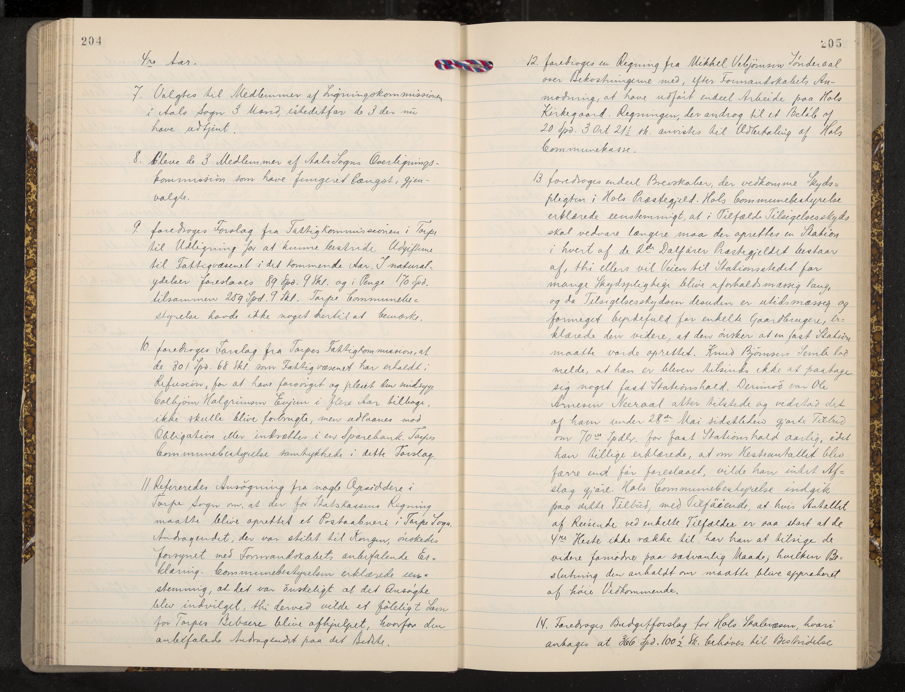 Ål formannskap og sentraladministrasjon, IKAK/0619021/A/Aa/L0003: Utskrift av møtebok, 1864-1880, p. 204-205