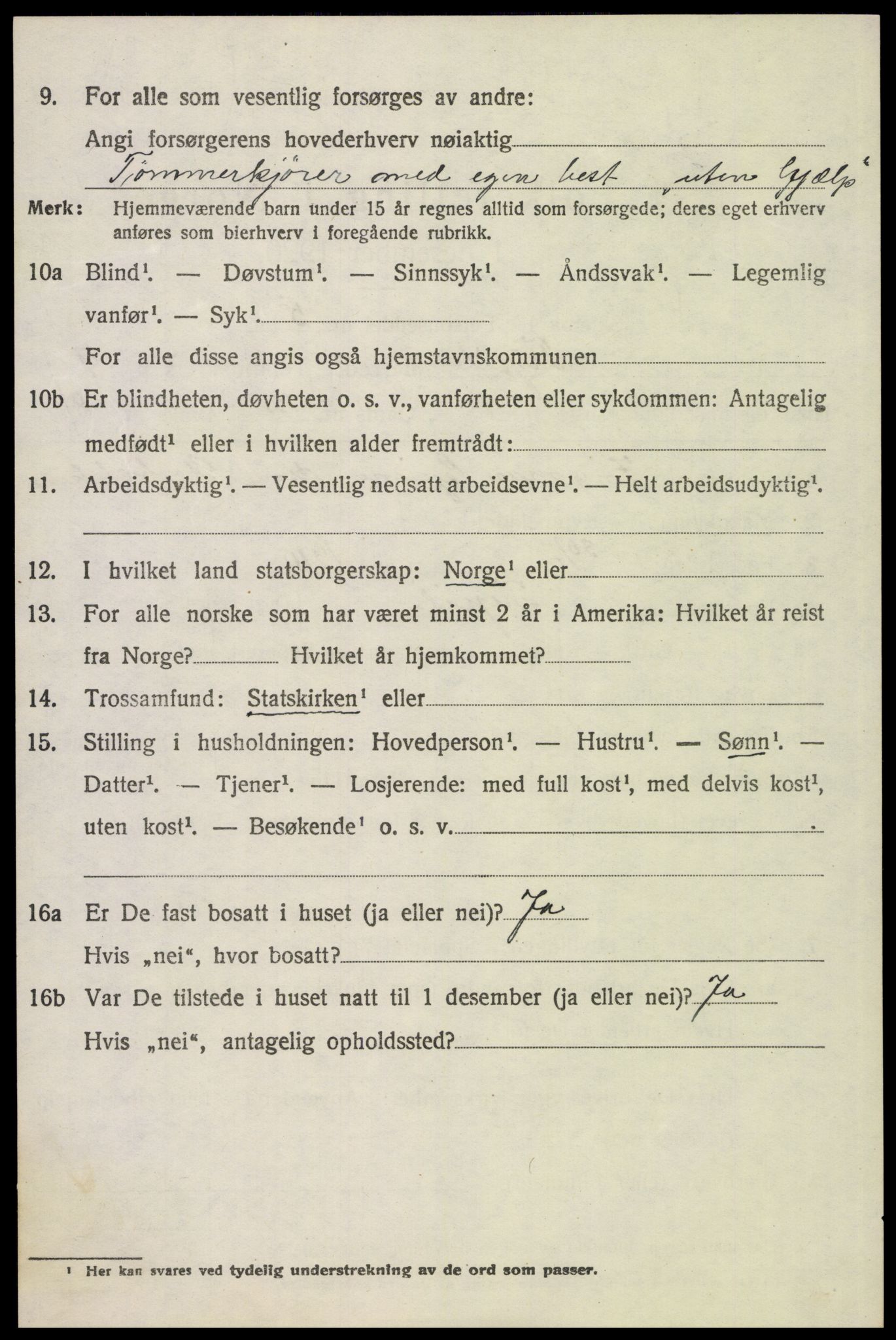 SAH, 1920 census for Trysil, 1920, p. 6564