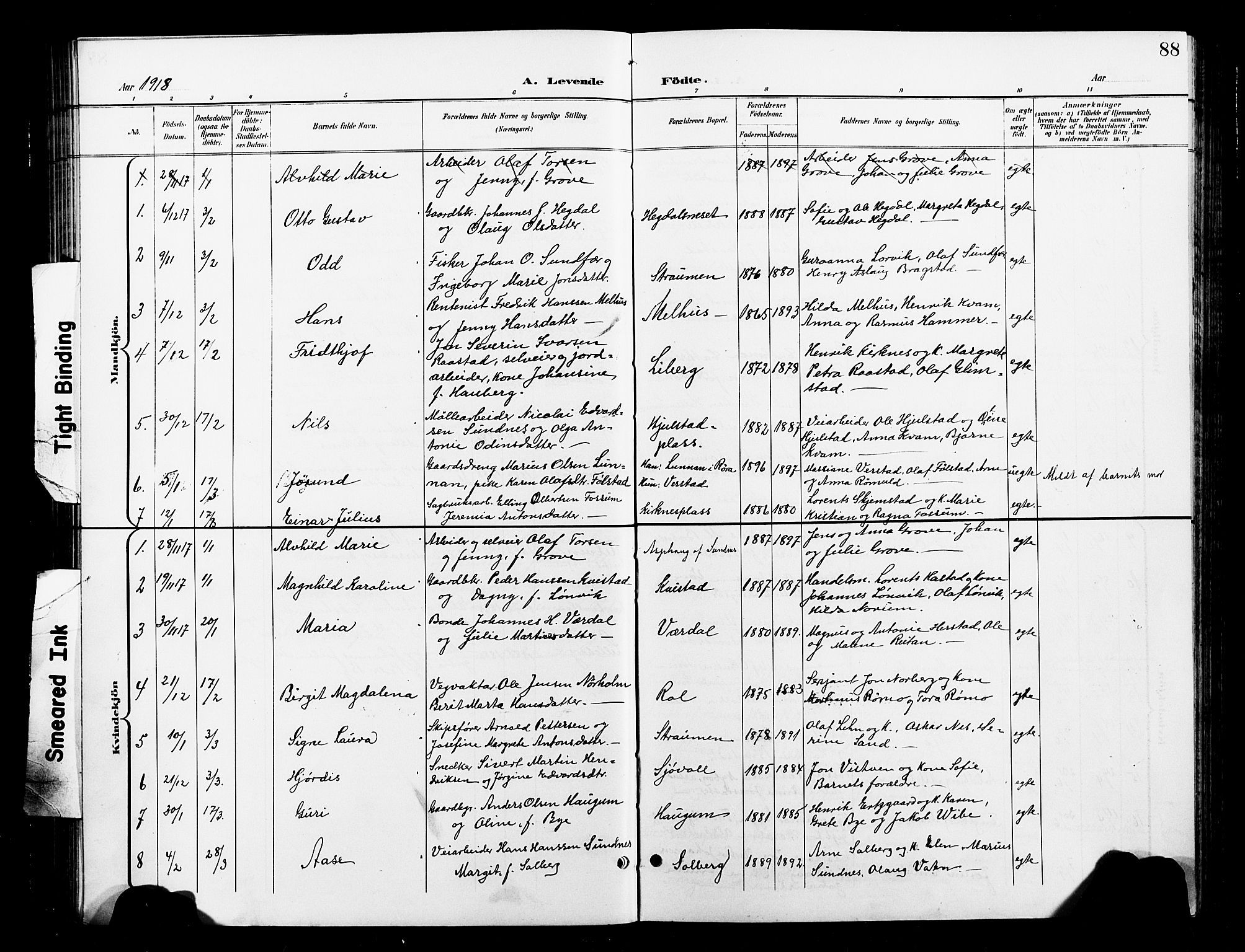 Ministerialprotokoller, klokkerbøker og fødselsregistre - Nord-Trøndelag, SAT/A-1458/730/L0302: Parish register (copy) no. 730C05, 1898-1924, p. 88
