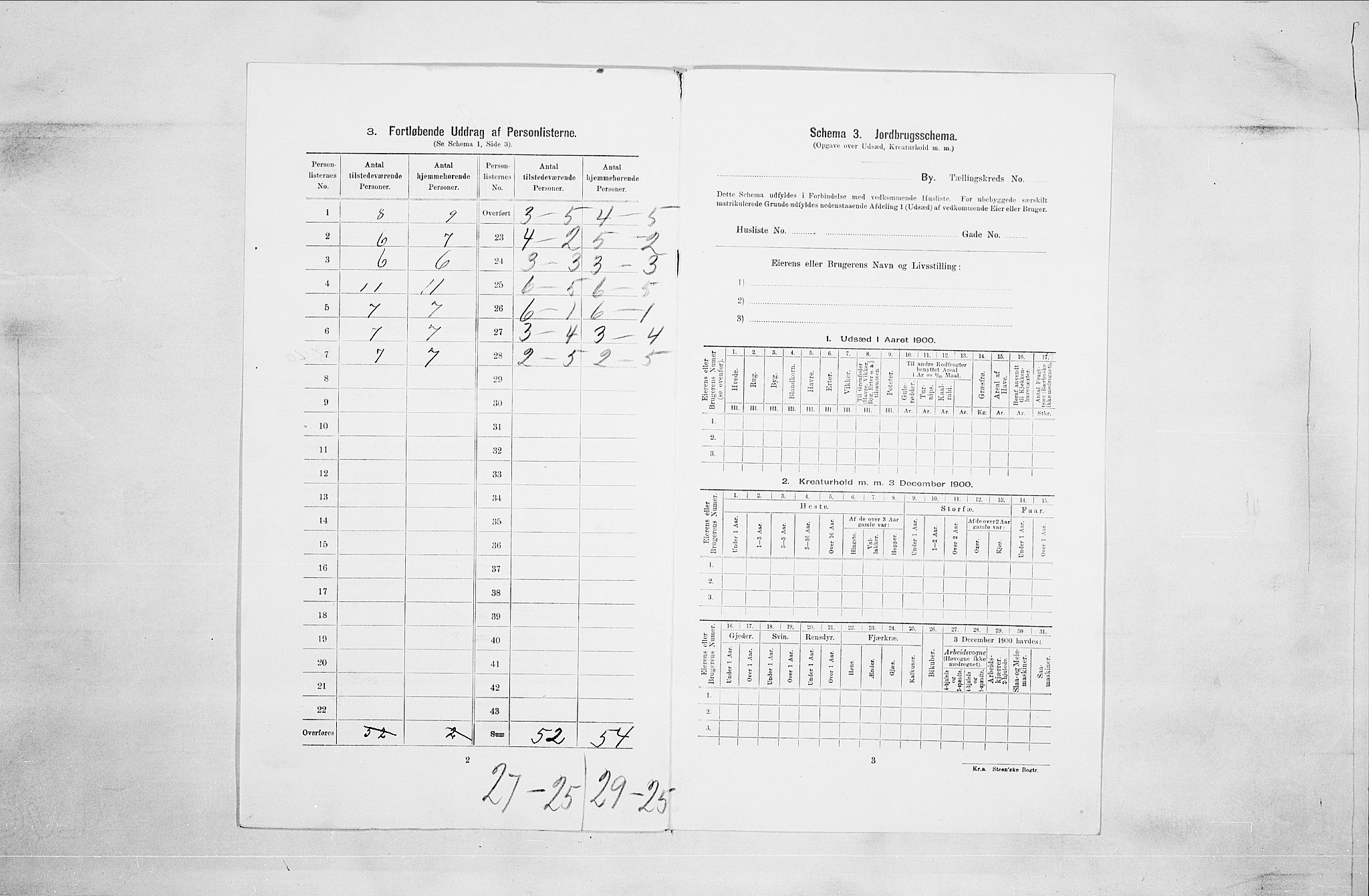 SAO, 1900 census for Fredrikstad, 1900