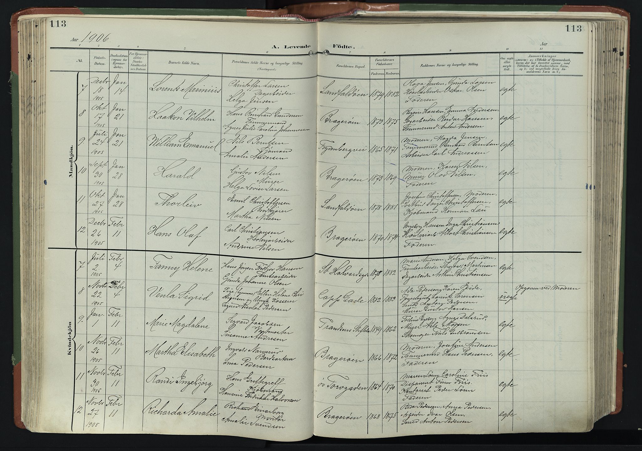 Bragernes kirkebøker, AV/SAKO-A-6/F/Fb/L0009: Parish register (official) no. II 9, 1902-1911, p. 113