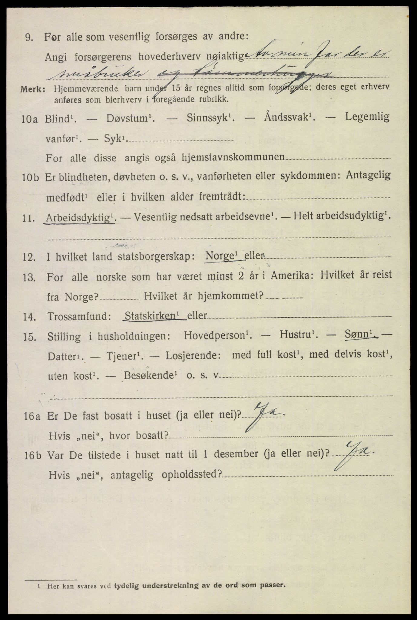 SAH, 1920 census for Trysil, 1920, p. 16100