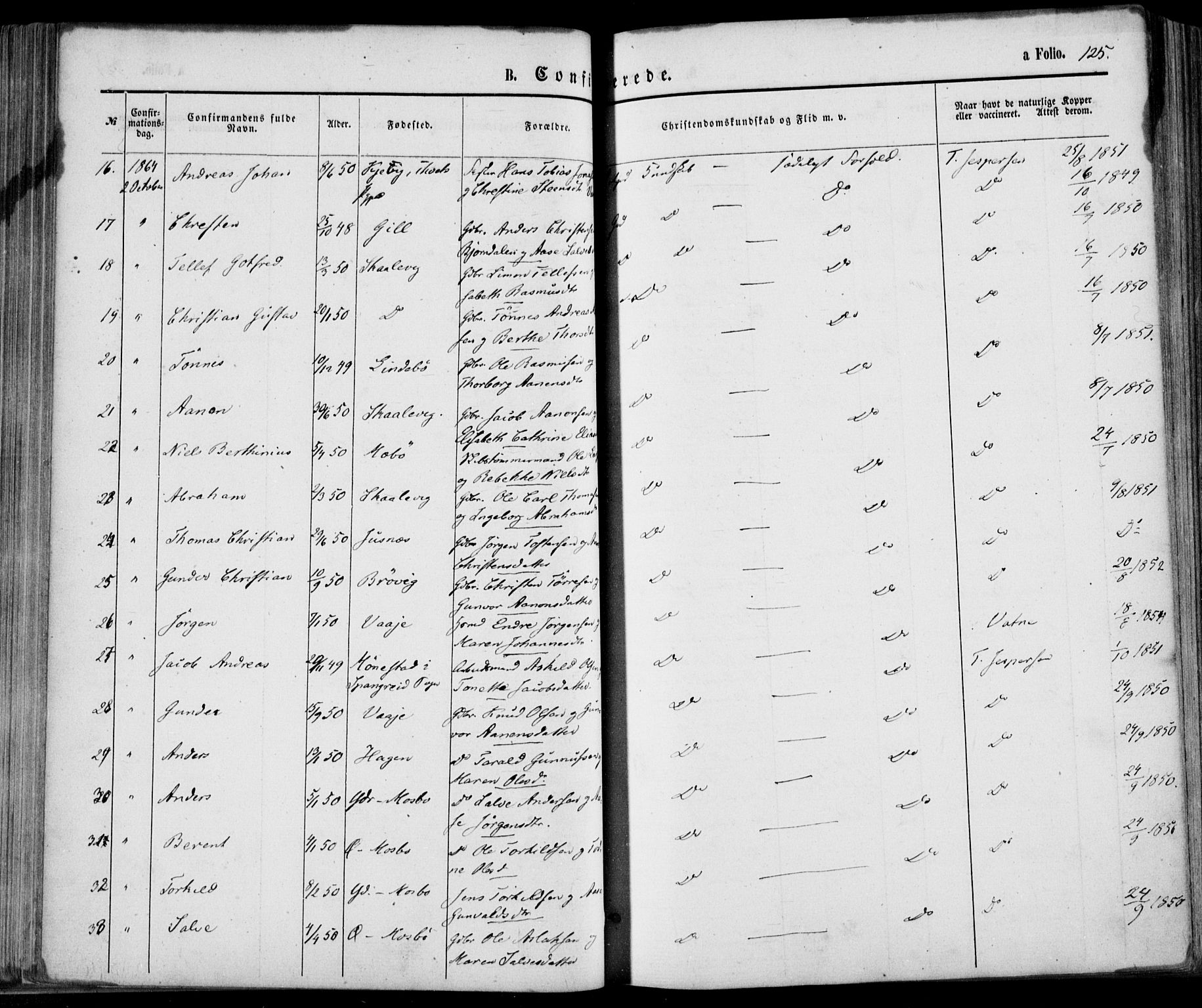 Oddernes sokneprestkontor, AV/SAK-1111-0033/F/Fa/Faa/L0008: Parish register (official) no. A 8, 1864-1880, p. 125