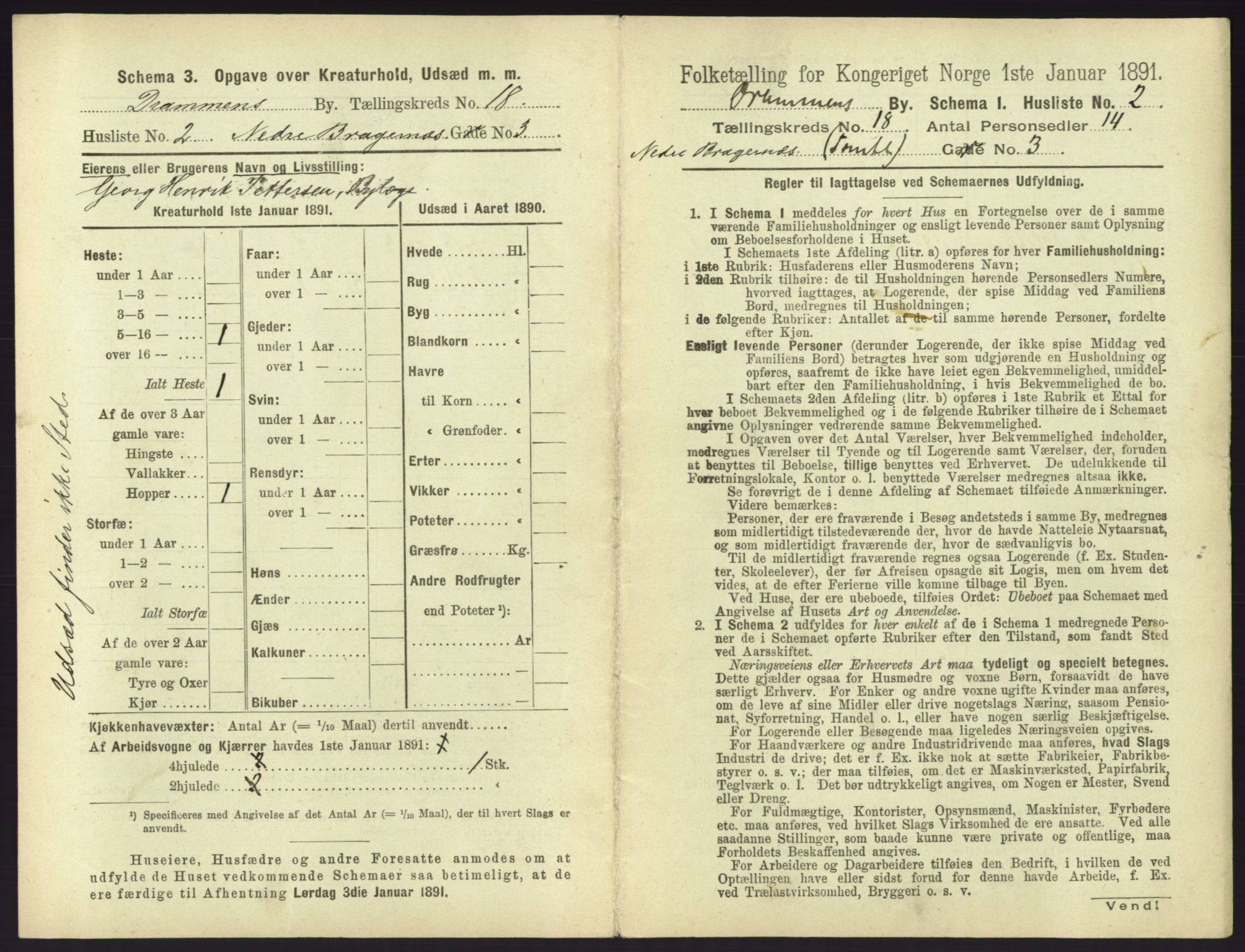 RA, 1891 census for 0602 Drammen, 1891, p. 1491