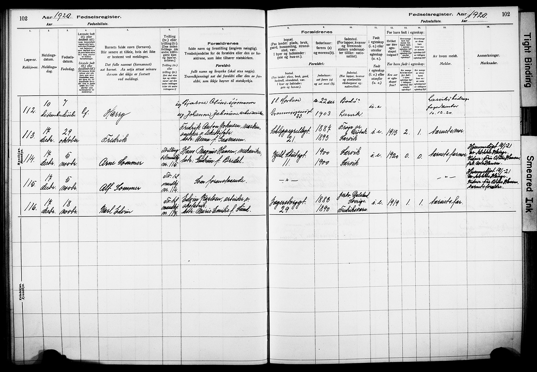 Larvik kirkebøker, AV/SAKO-A-352/J/Ja/L0001: Birth register no. I 1, 1916-1926, p. 102