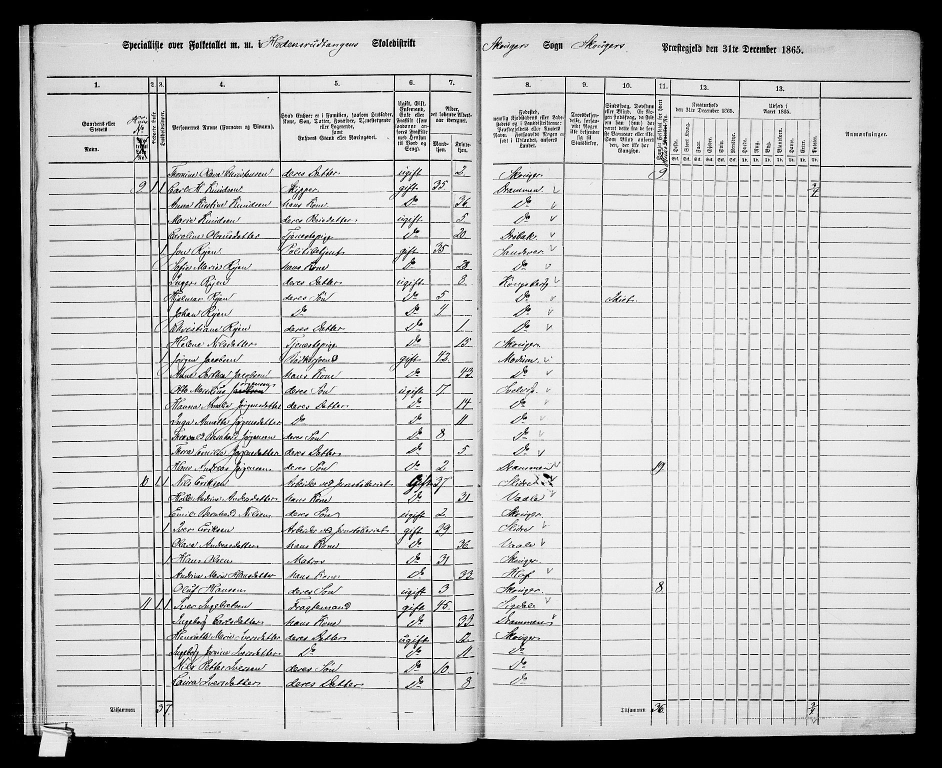 RA, 1865 census for Skoger, 1865, p. 16