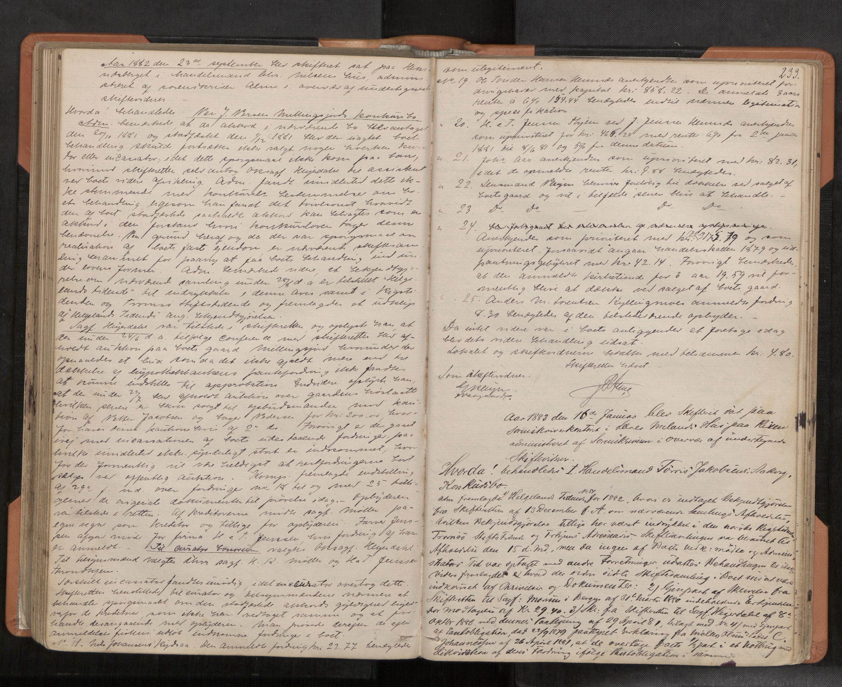 Rana sorenskriveri , AV/SAT-A-1108/1/3/3B/L0003: Skiftebehandlingsprotokoll, 1875-1893, p. 233
