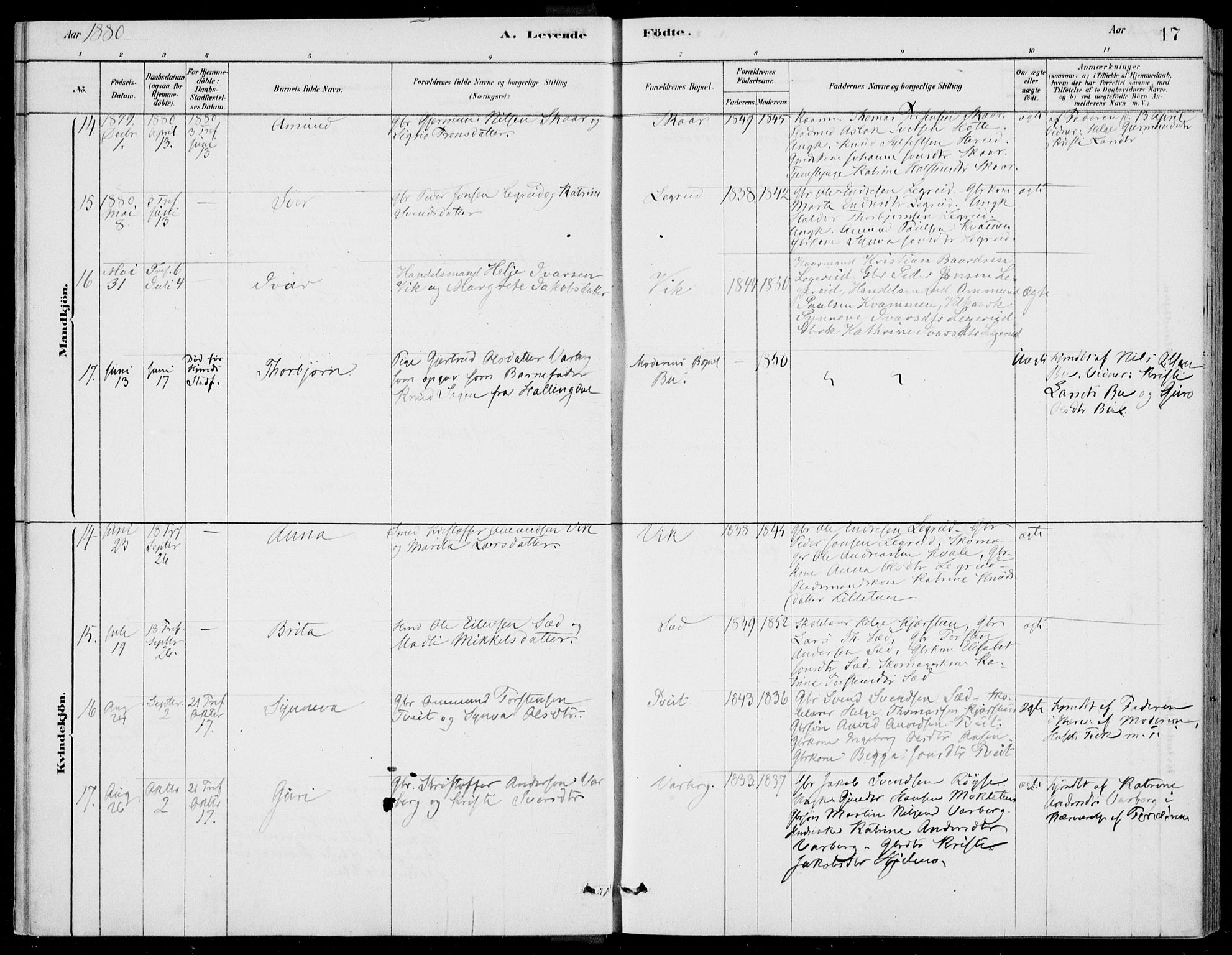 Ulvik sokneprestembete, AV/SAB-A-78801/H/Haa: Parish register (official) no. D  1, 1878-1903, p. 17